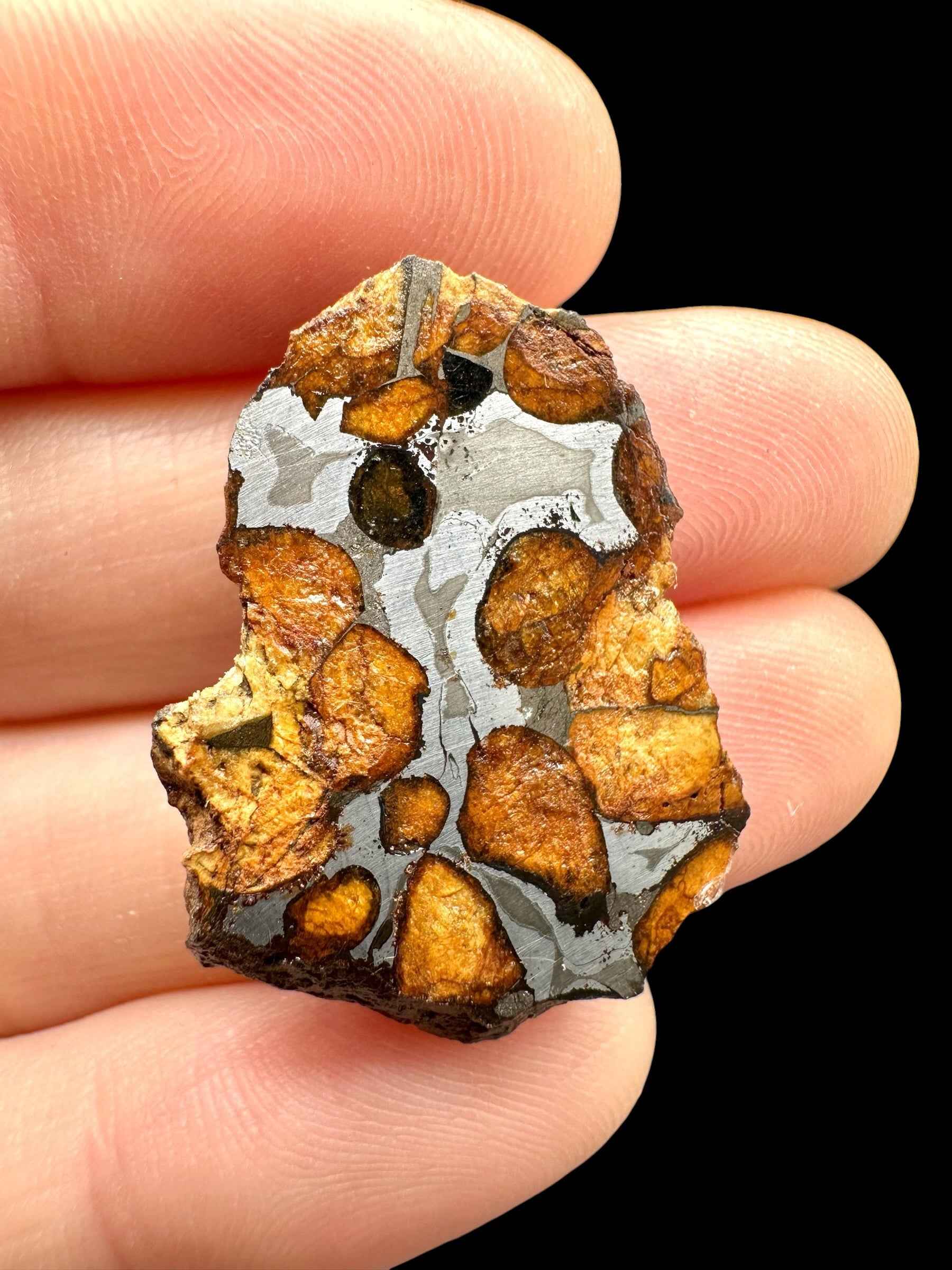 Sericho Pallasite Meteorite 6,1g / endcut – Kenya - MESR204