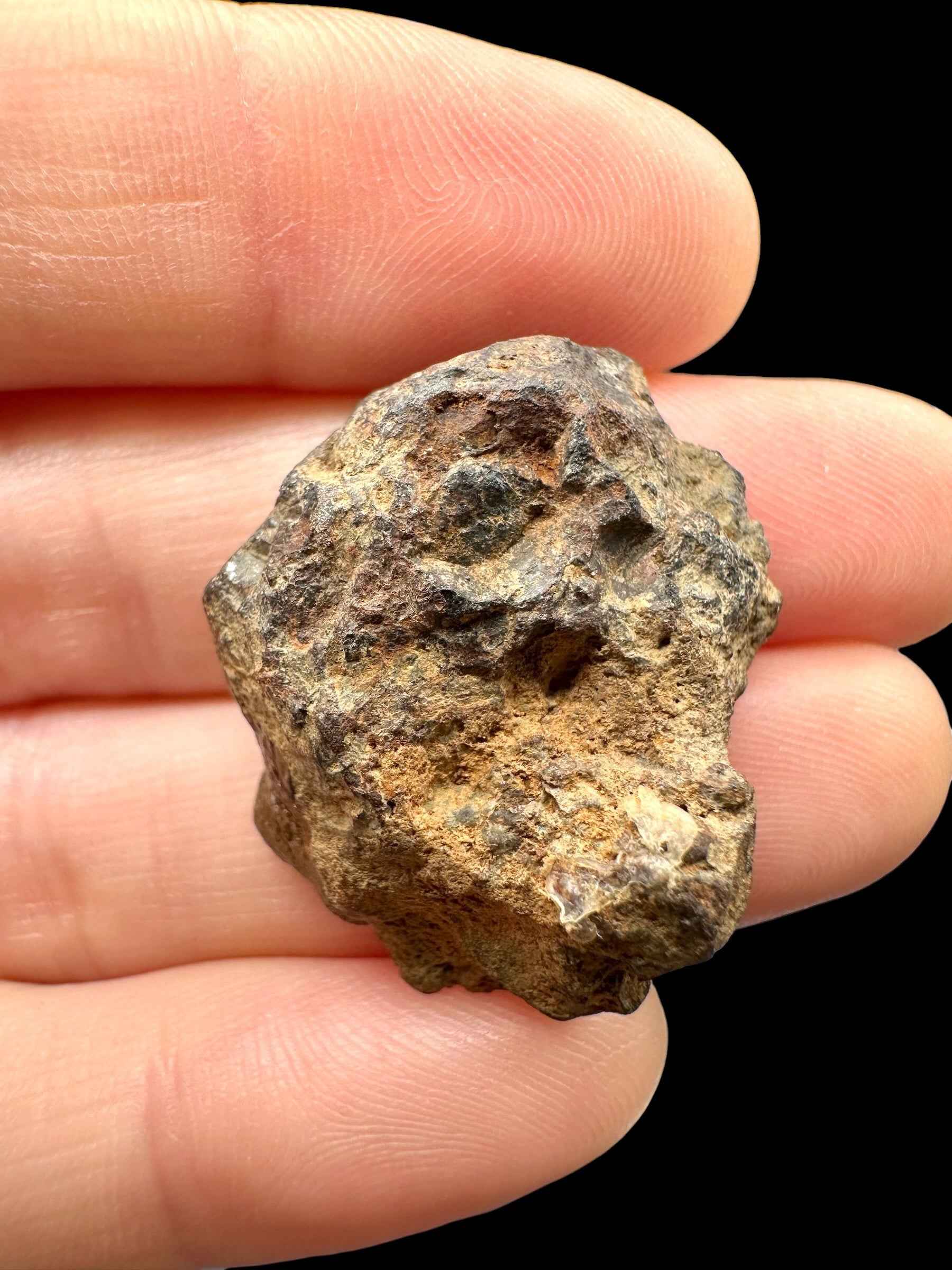 Sericho Pallasite Meteorite 11,4g / endcut – Kenya - MESR205