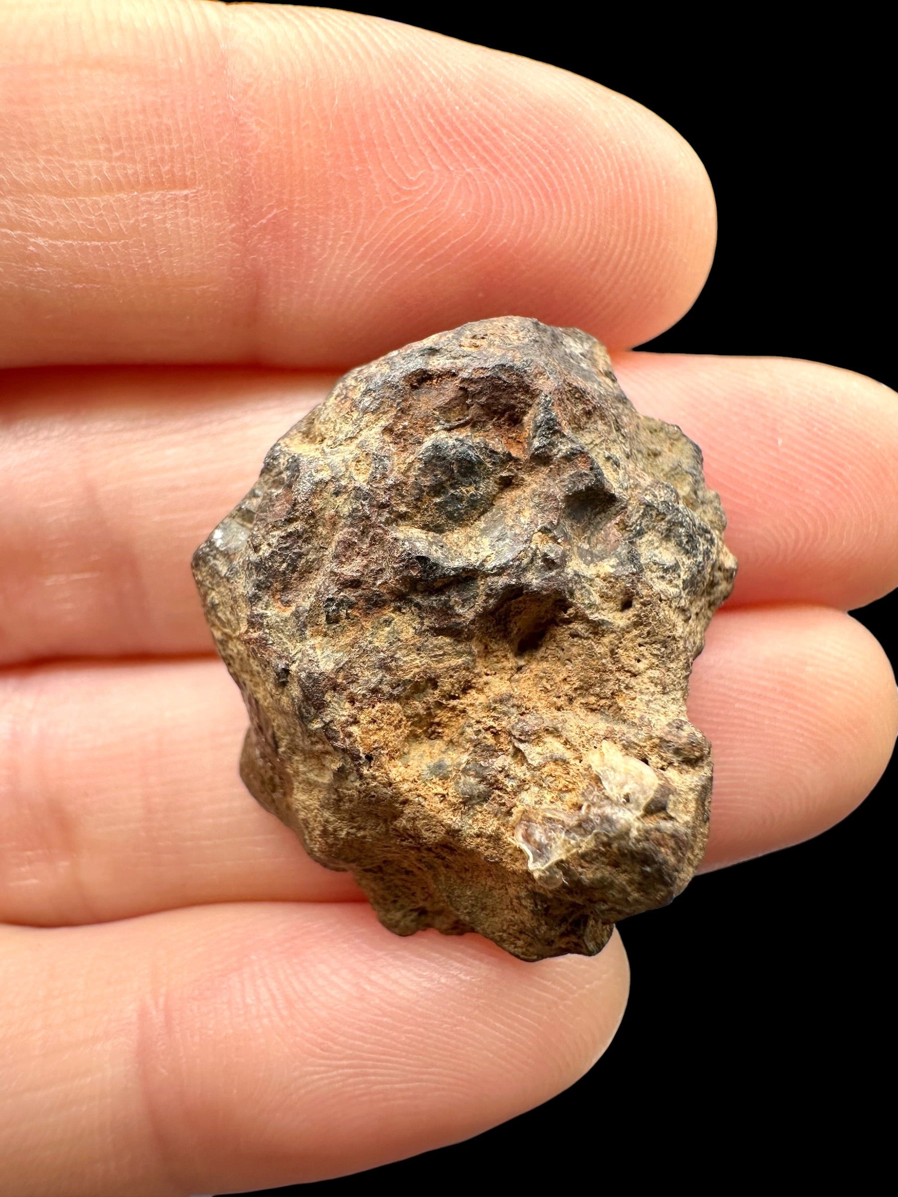 Sericho Pallasite Meteorite 11,4g / endcut – Kenya - MESR205