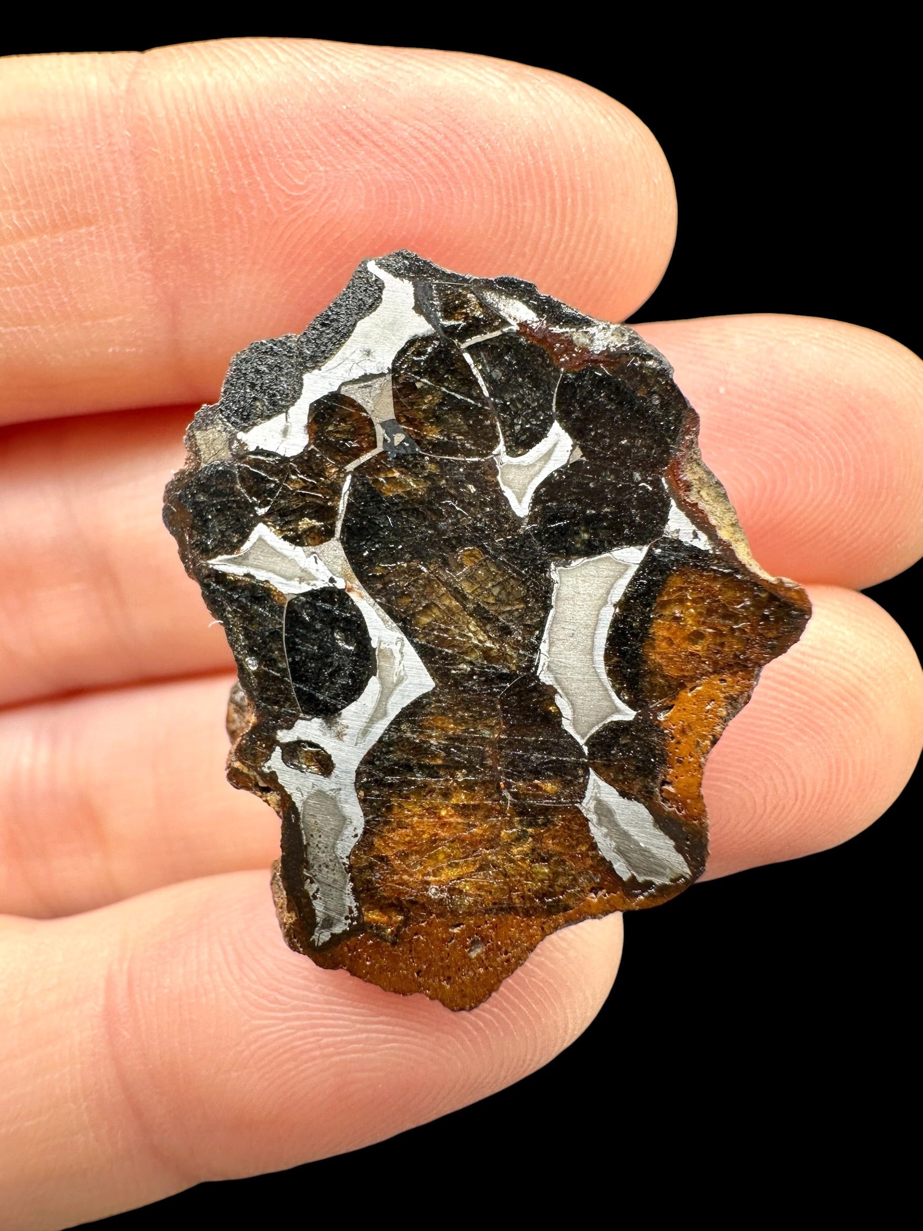 Sericho Pallasite Meteorite 11,4g / endcut – Kenya