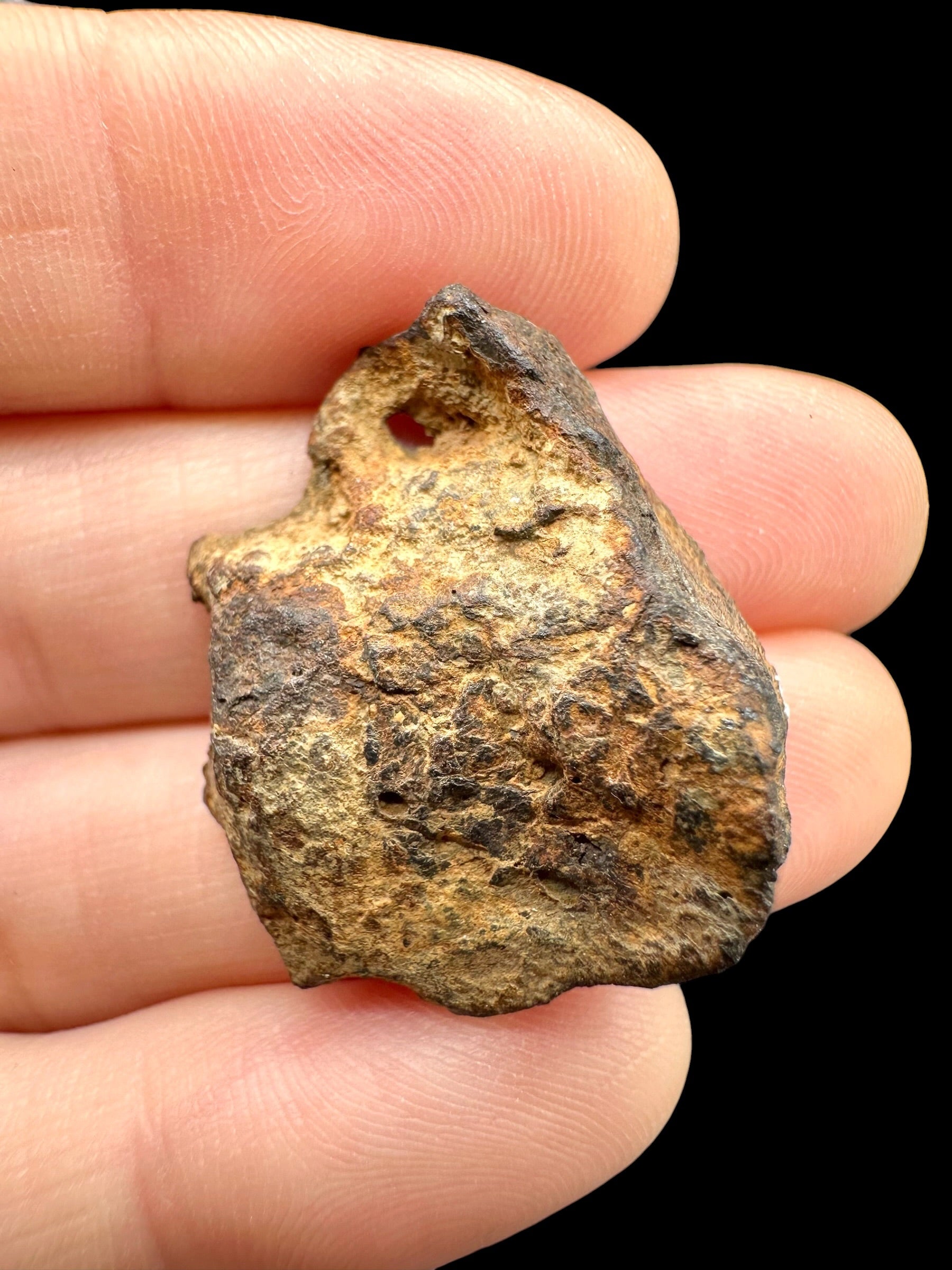 Sericho Pallasite Meteorite 14,5g / endcut – Kenya - MESR206