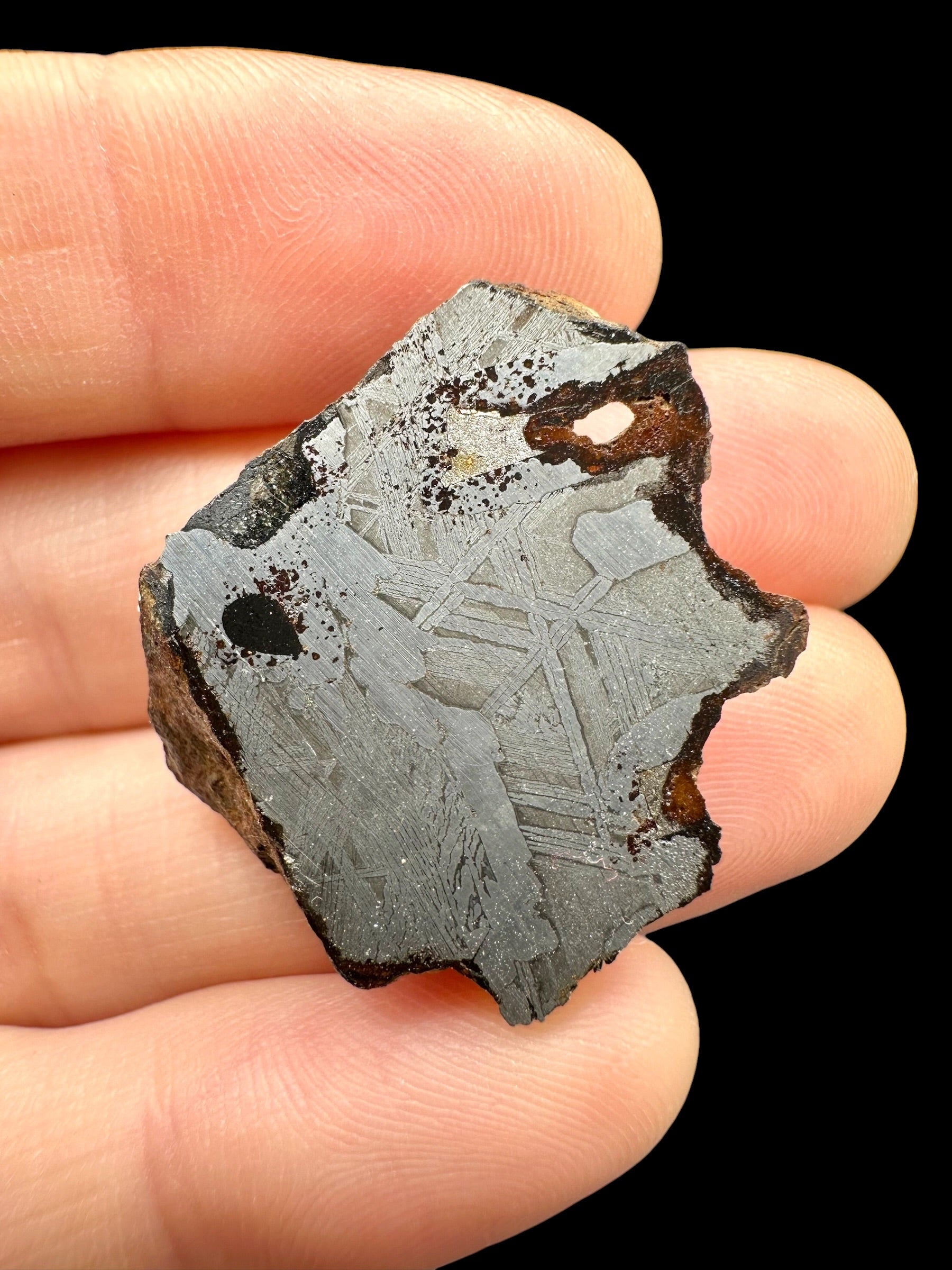 Sericho Pallasite Meteorite 14,5g / endcut – Kenya