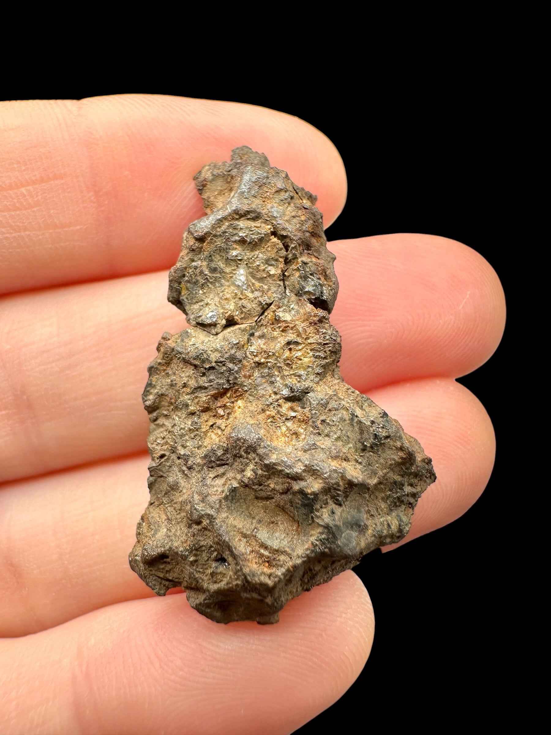 Meteorite pallasite di Sericho, 10,7 g / sezione trasversale – Kenya - MESR207