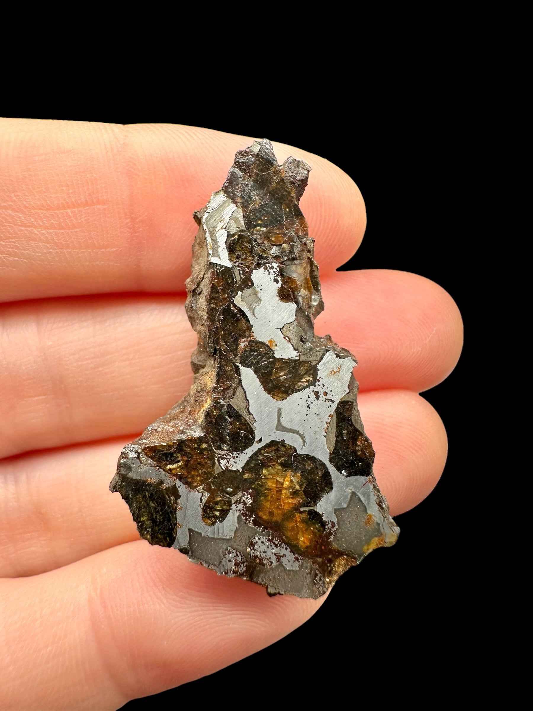 Endcut di pallasite Sericho tenuto tra le dita: noduli di olivina bruno-dorata in matrice metallica grigia