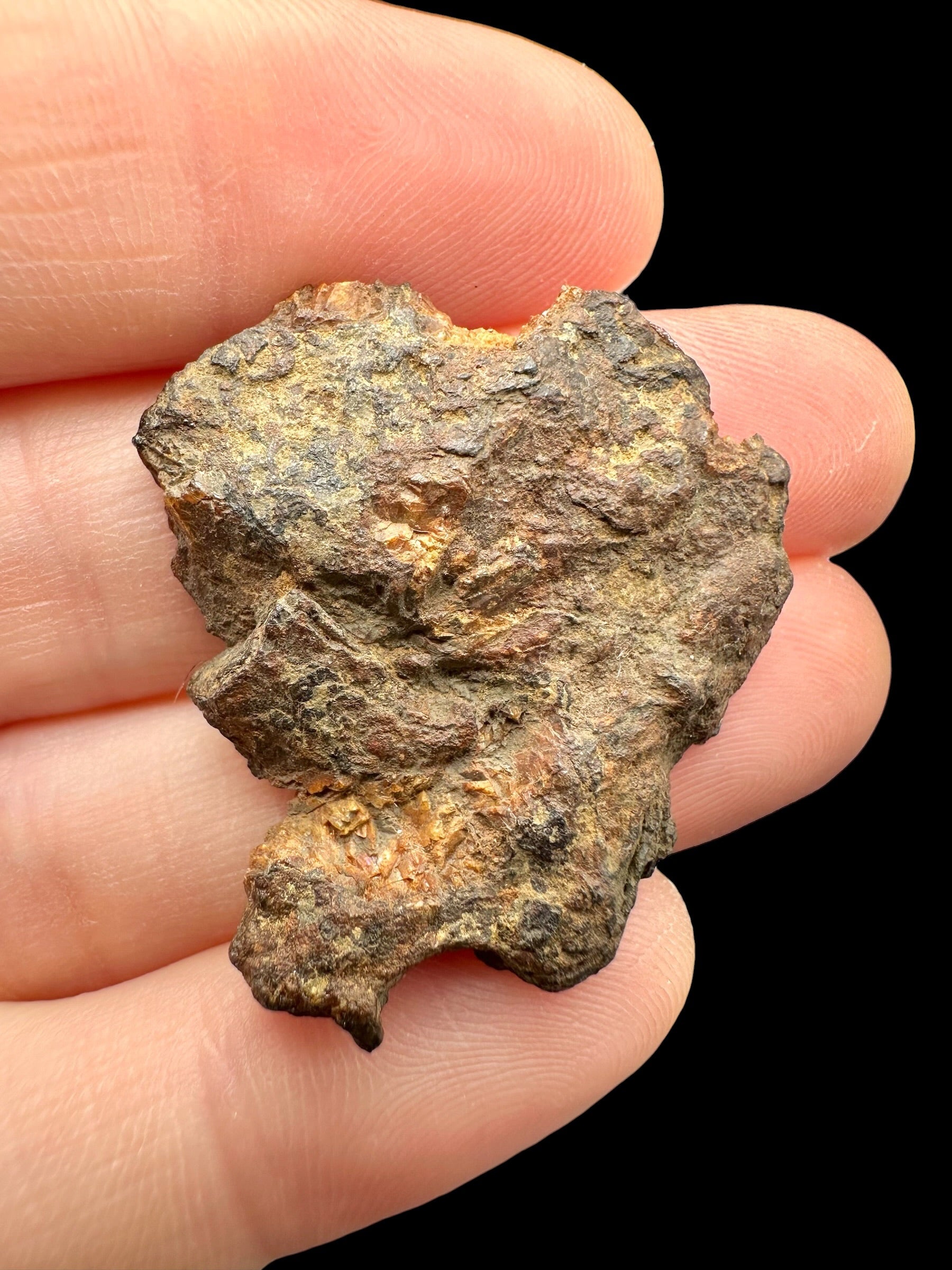 Sericho Pallasite Meteorite 8,7g / endcut – Kenya - MESR208