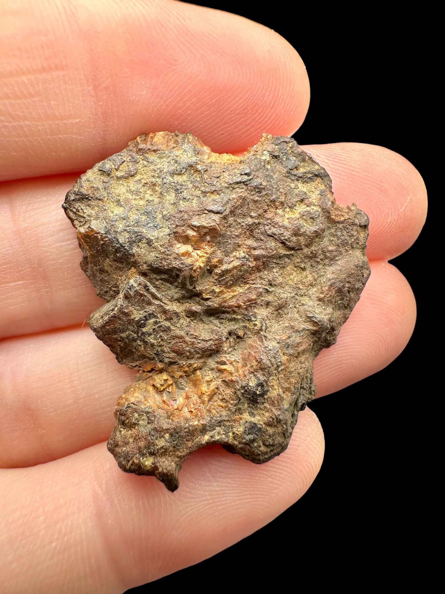 Meteorite pallasite di Sericho, 8,7 g / sezione trasversale – Kenya - MESR208