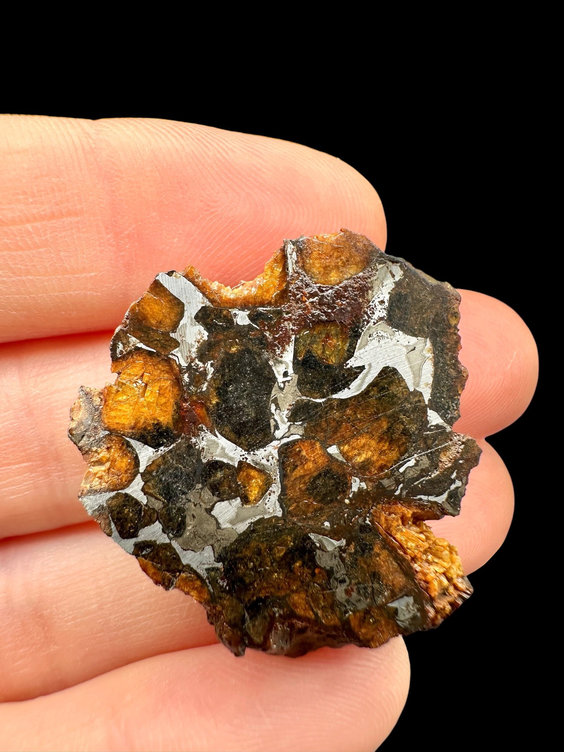 Sericho Pallasite Meteorite 8,7g / endcut – Kenya