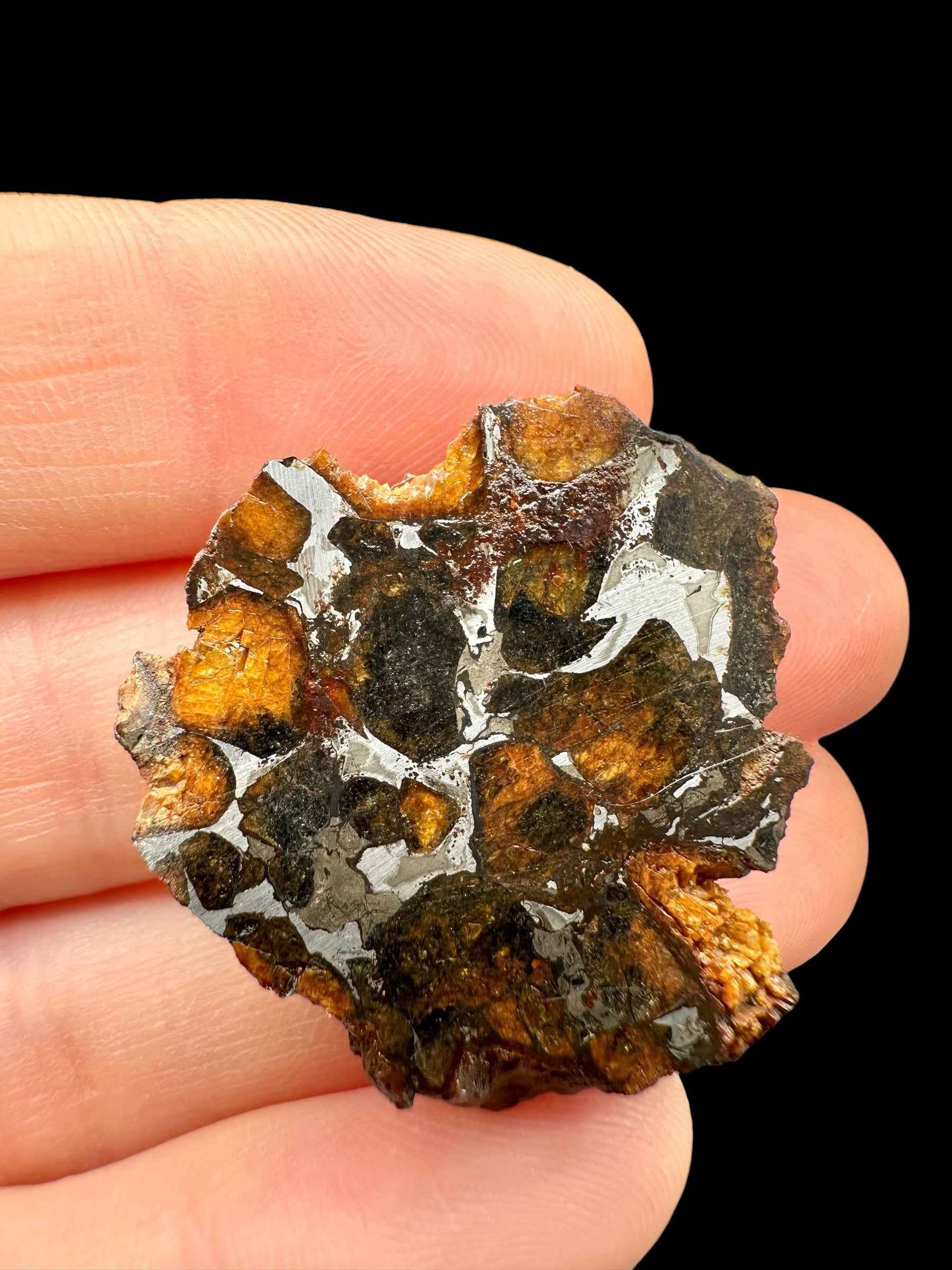 Sezione di meteorite pallasite Sericho tenuta fra le dita: olivine arancio e verdi in rete metallica argentea
