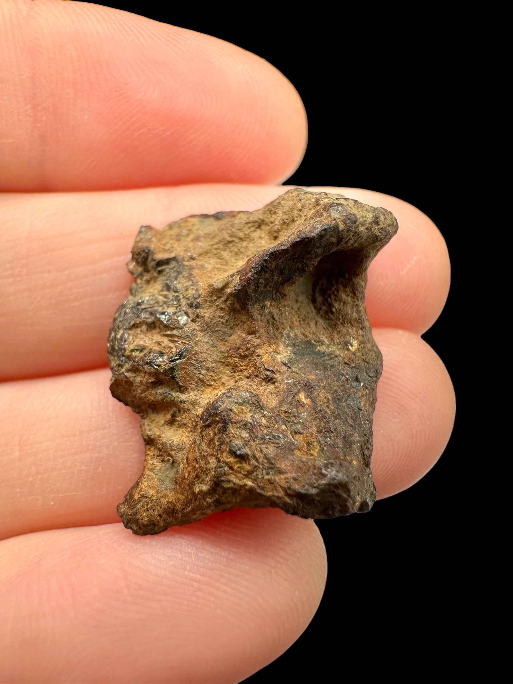 Meteorite pallasite di Sericho, 5,8 g / sezione trasversale – Kenya - MESR209
