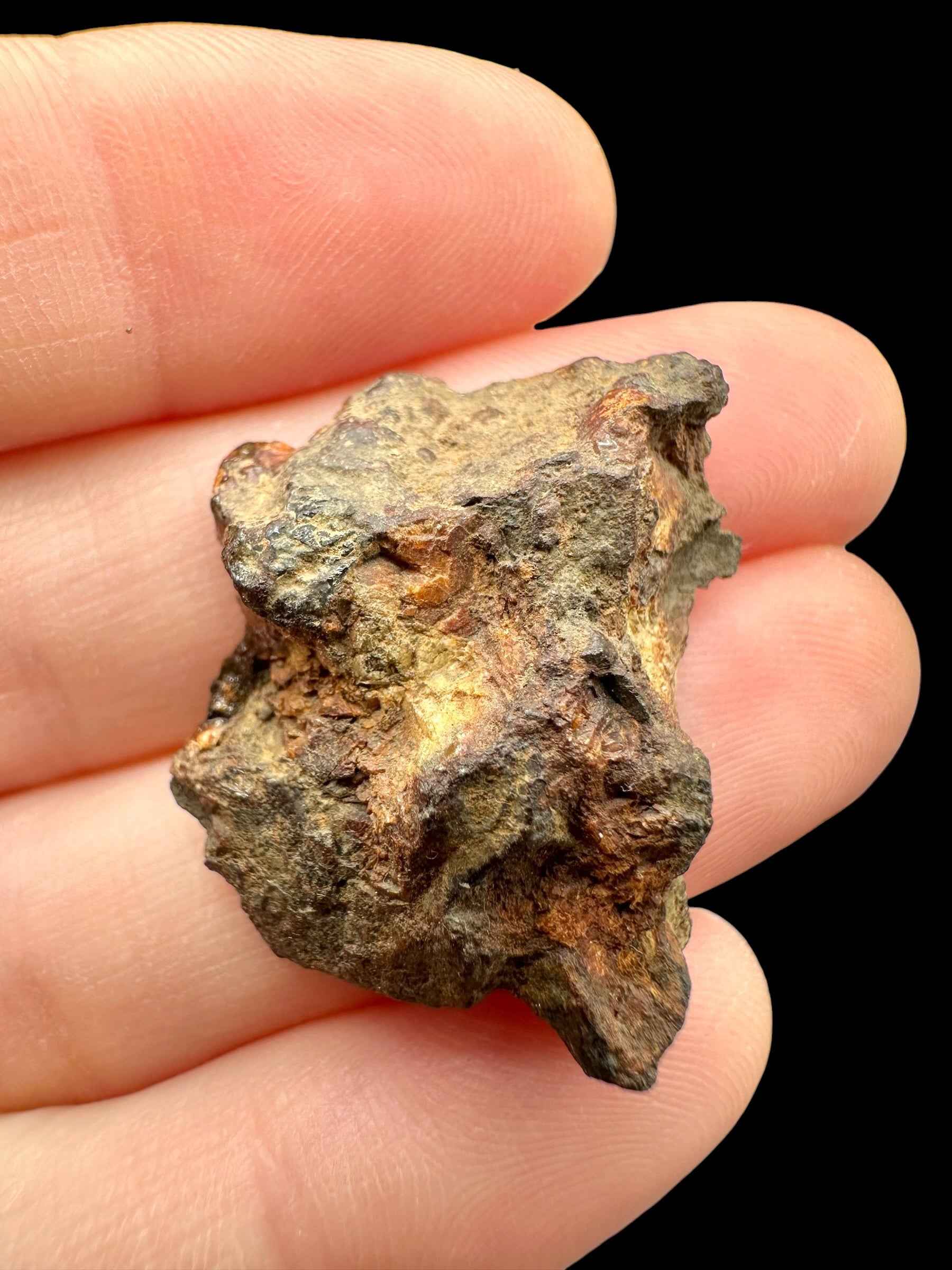 Meteorite pallasite di Sericho, 9,4 g / sezione trasversale – Kenya - MESR210