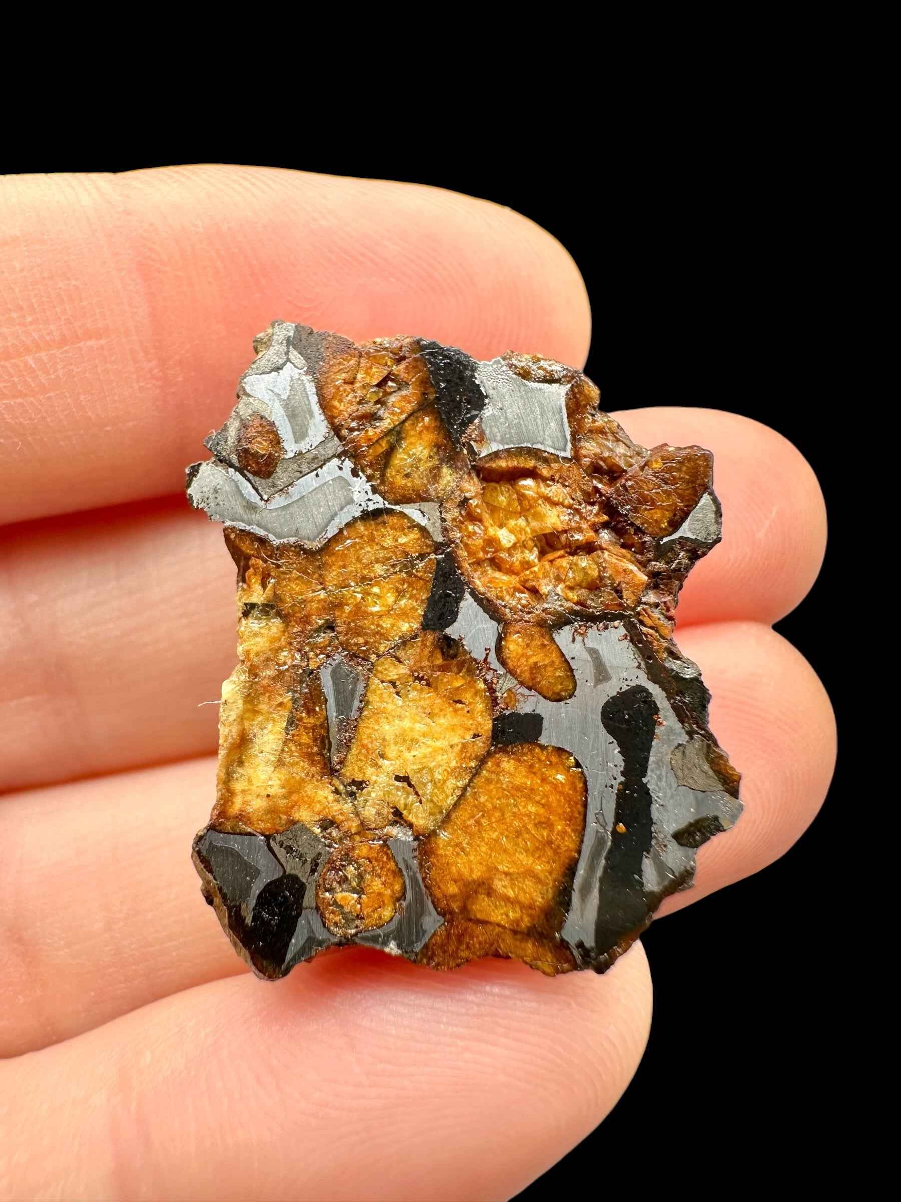 Meteorite pallasite di Sericho tenuto in mano: olivina arancio-miele fra matrice metallica grigia