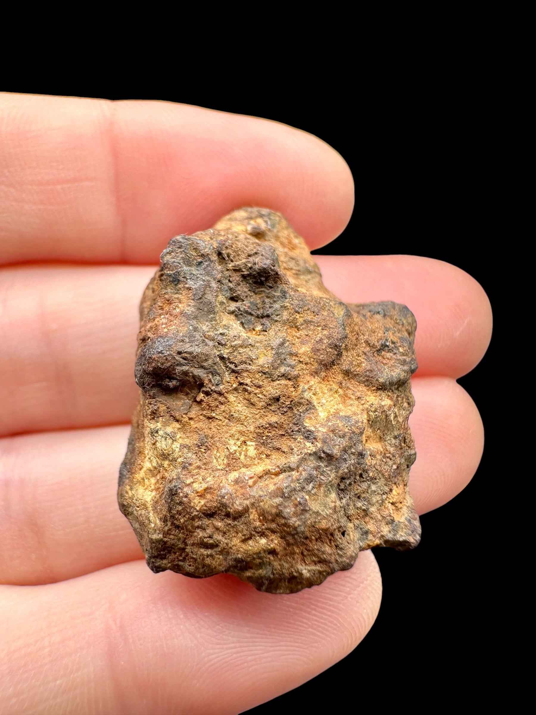Meteorite pallasite di Sericho, 20,7 g / sezione trasversale – Kenya - MESR211