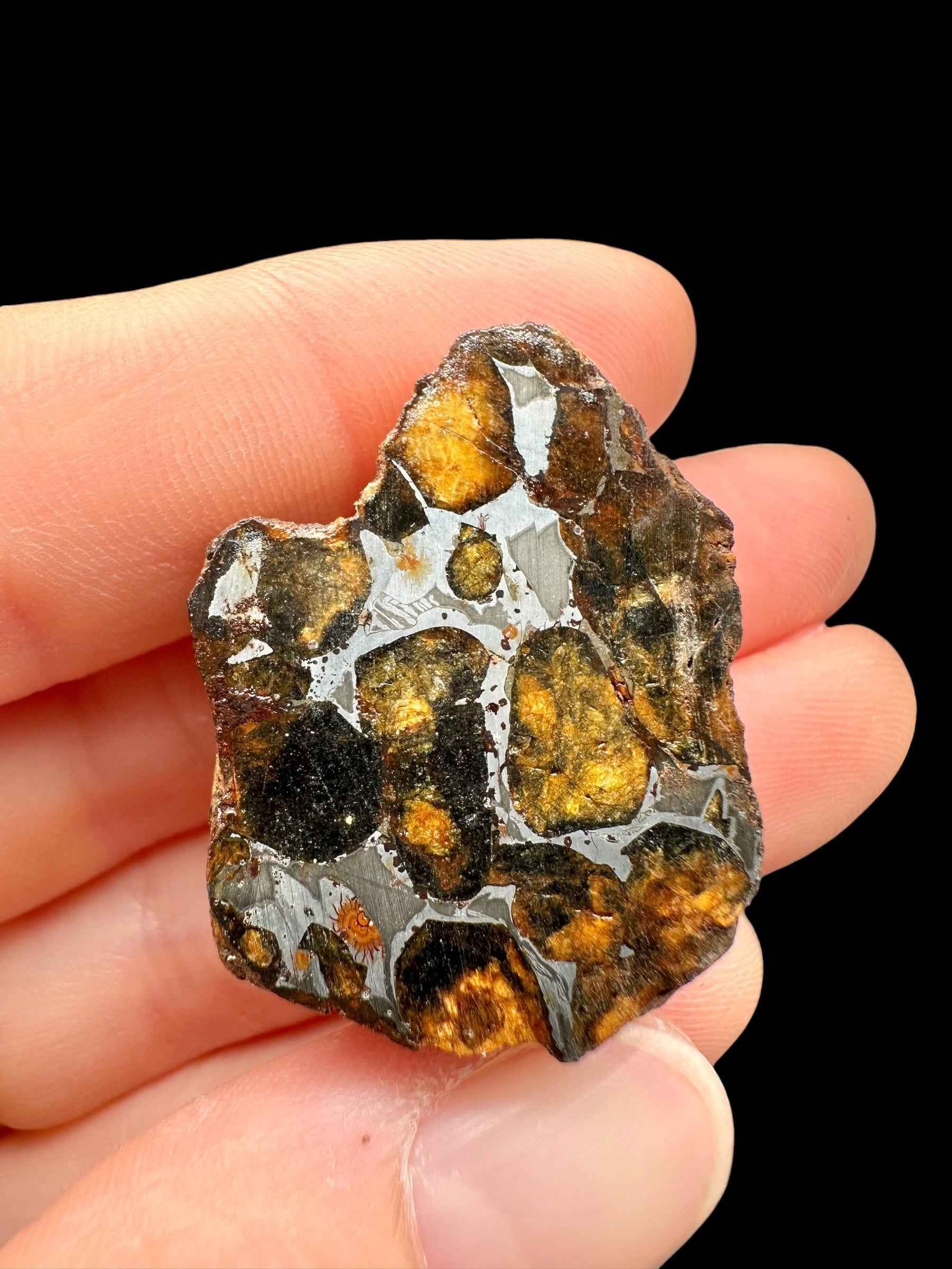 Sezione di meteorite pallasite Sericho tenuta fra le dita: noduli di olivina arancioni in matrice metallica lucida
