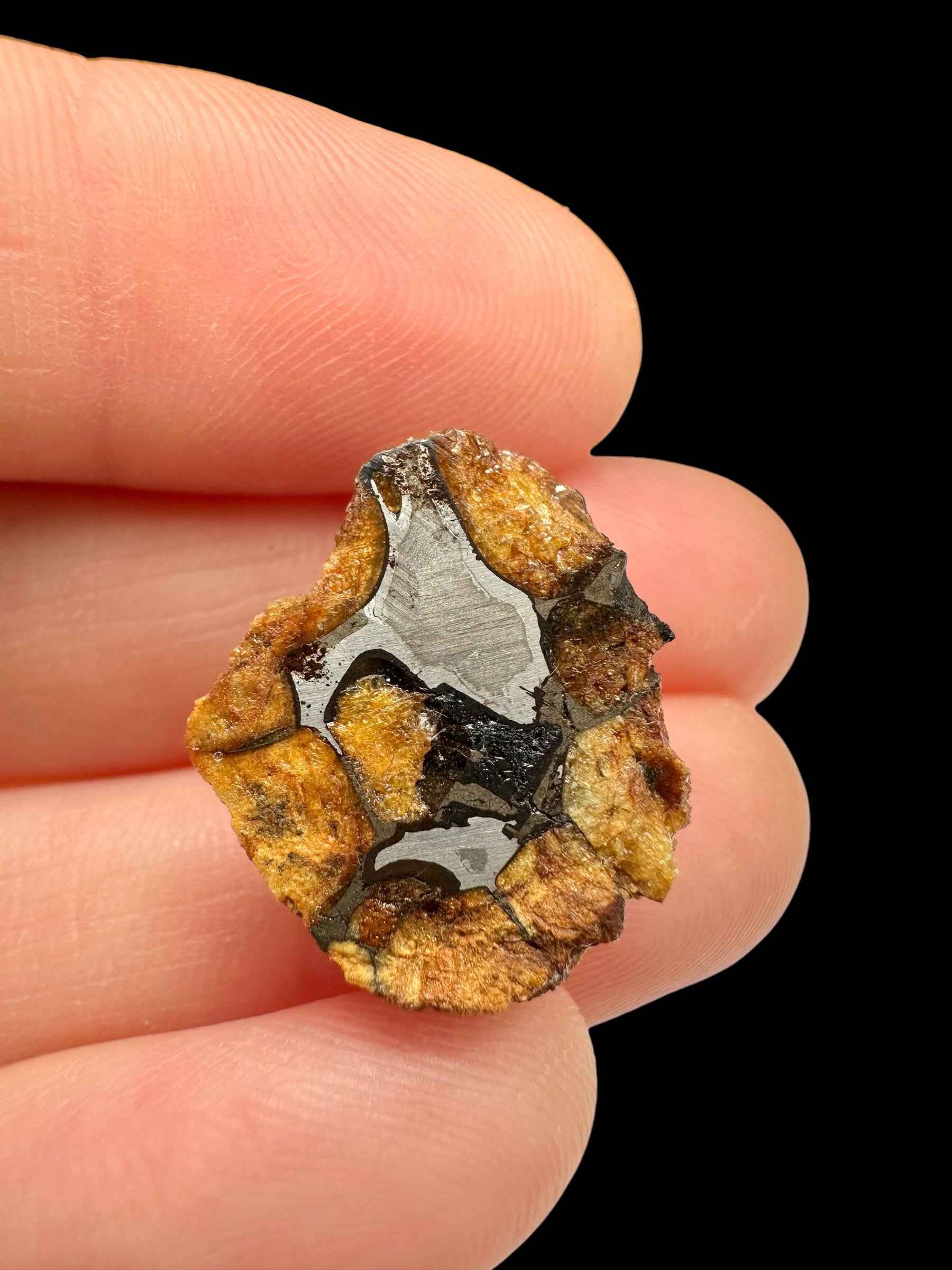 Sezione di meteorite pallasite Sericho con olivine giallo-ocra e metallo argenteo, tenuta tra le dita