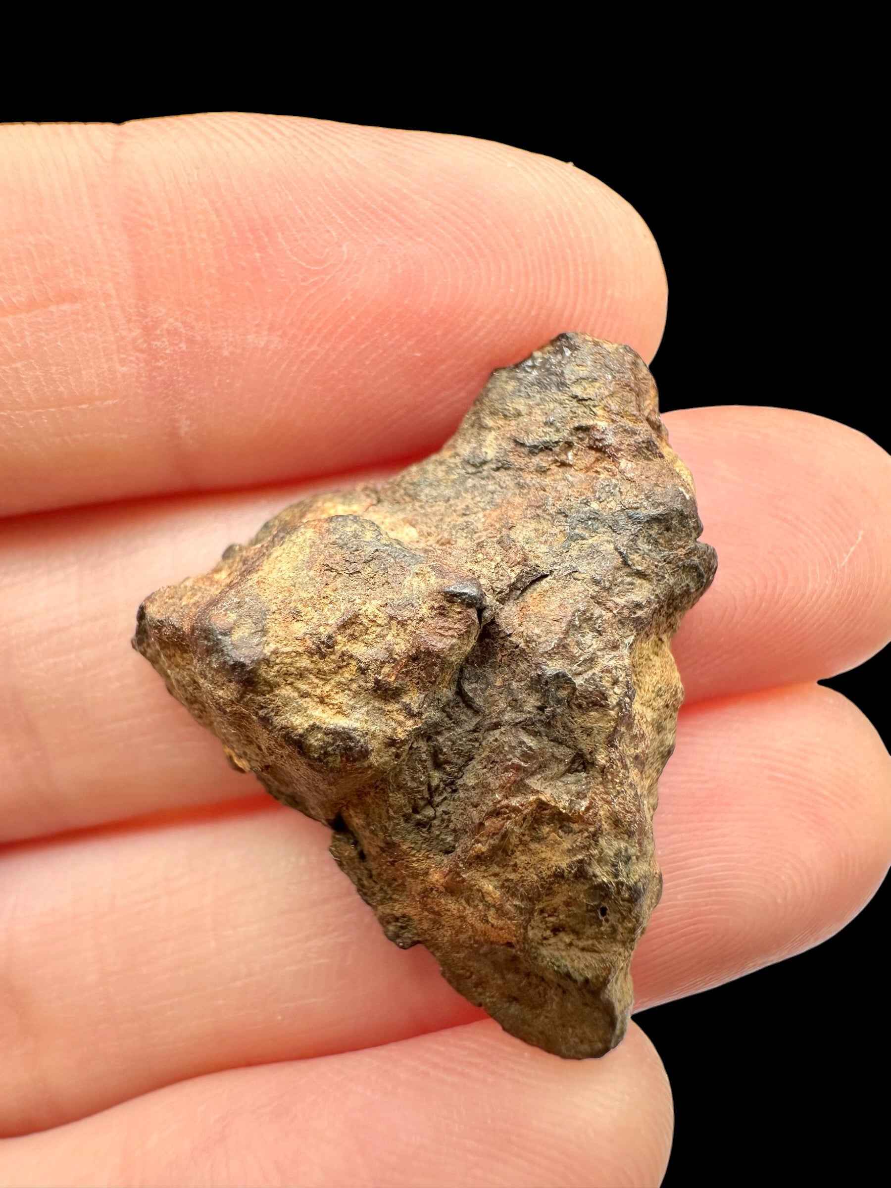 Meteorite pallasite di Sericho, 6,7 g / sezione trasversale – Kenya - MESR213