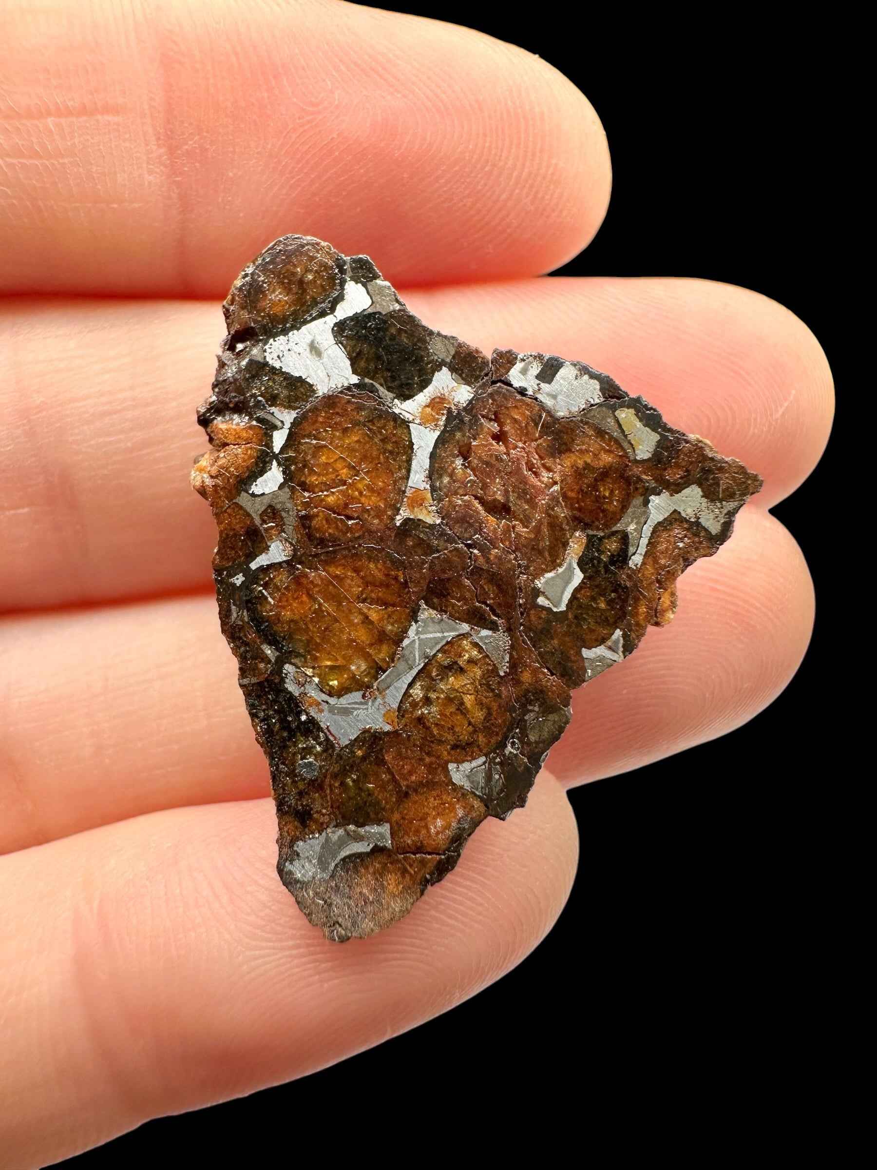 Frammento di meteorite pallasite Sericho tenuto fra le dita, noduli di olivina bruna e verde con venature metalliche