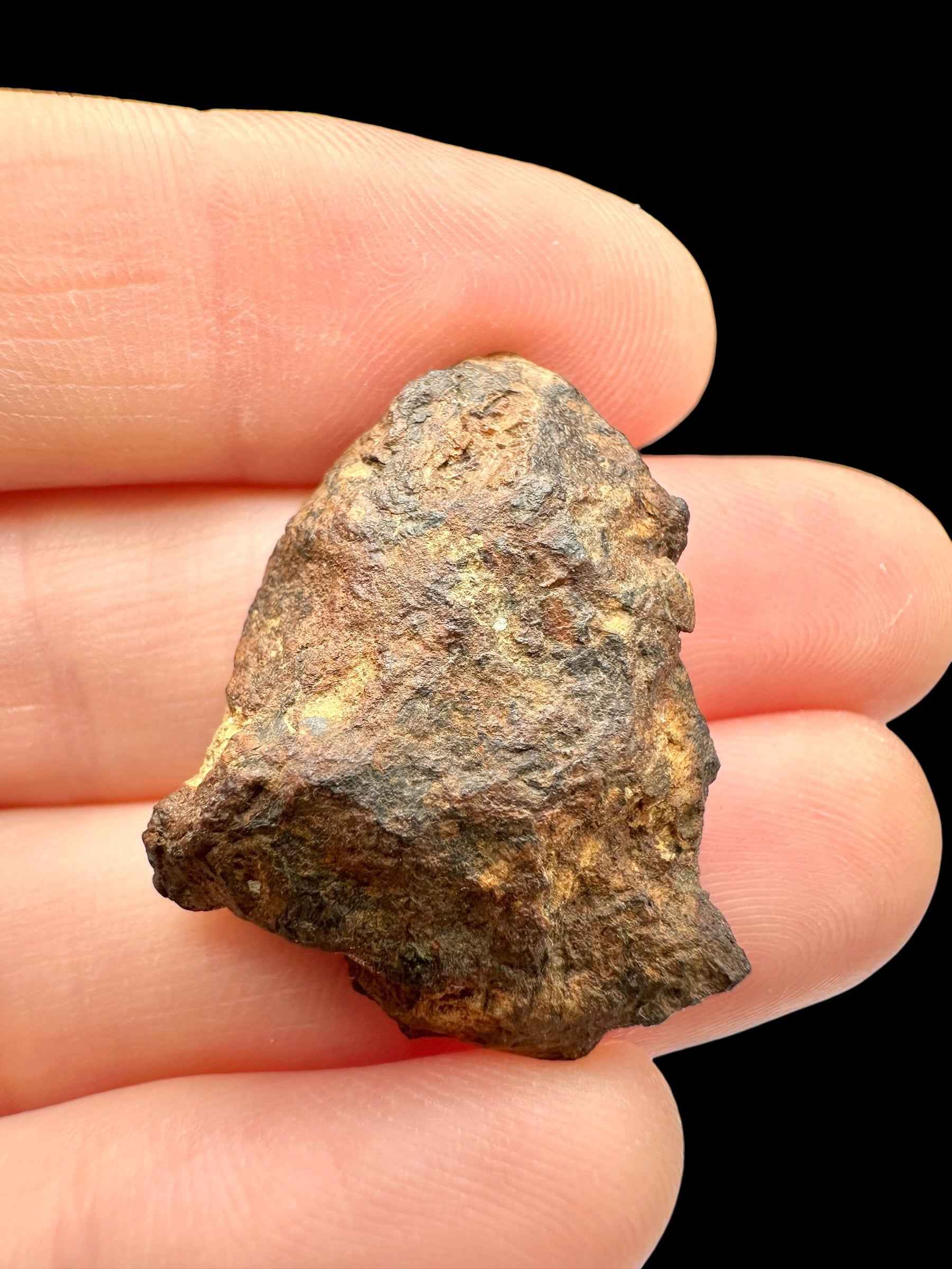 Meteorite pallasite di Sericho, 9 g / taglio trasversale – Kenya - MESR214