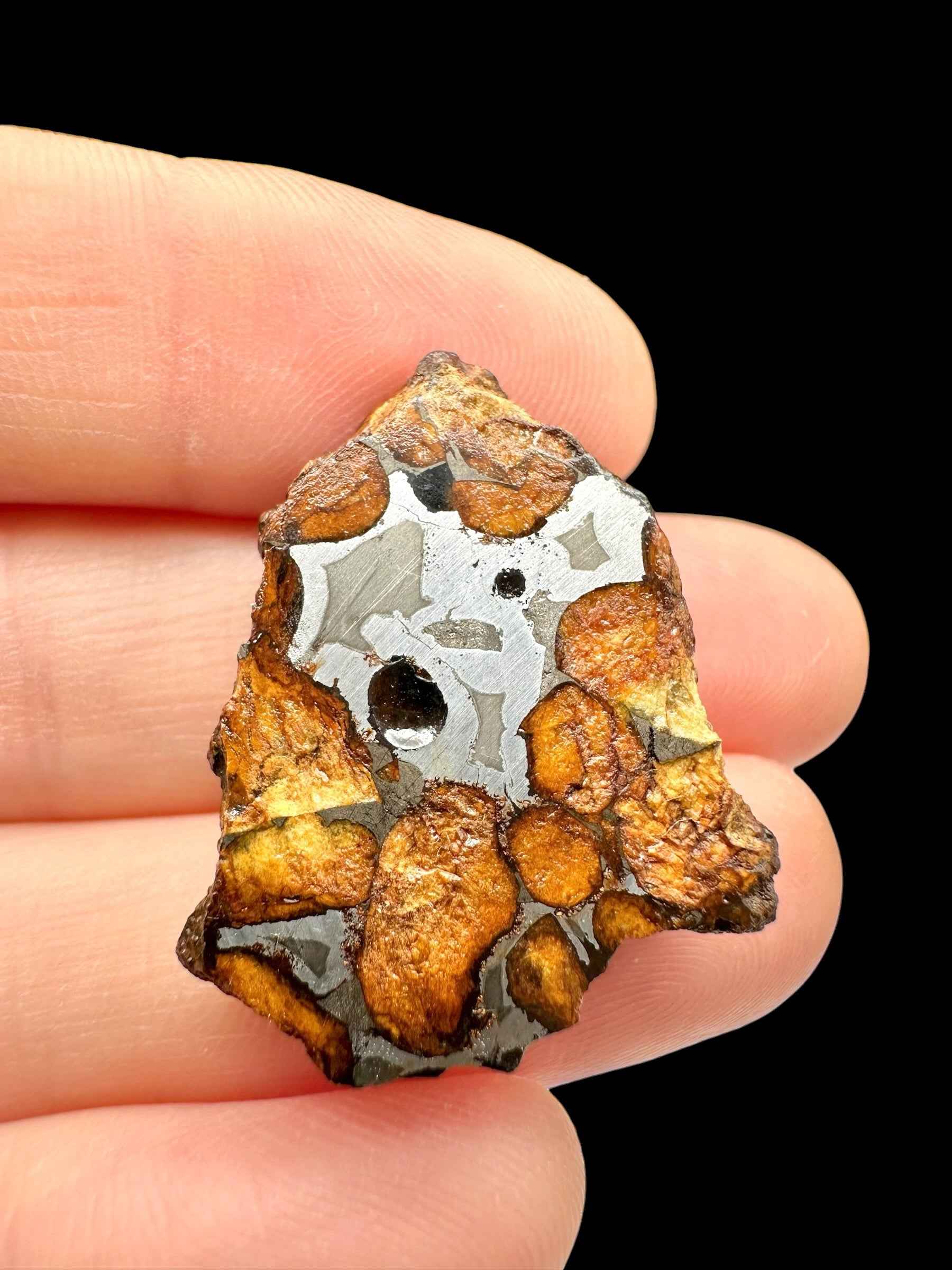 Endcut di meteorite pallasite Sericho con noduli di olivina arancio in matrice metallica lucida, tenuto tra le dita
