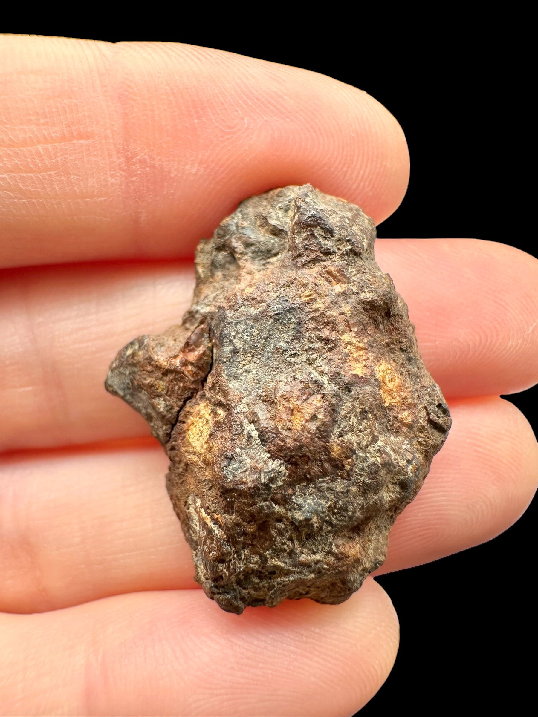 Sericho Pallasite Meteorite 11,3g / endcut – Kenya - MESR215