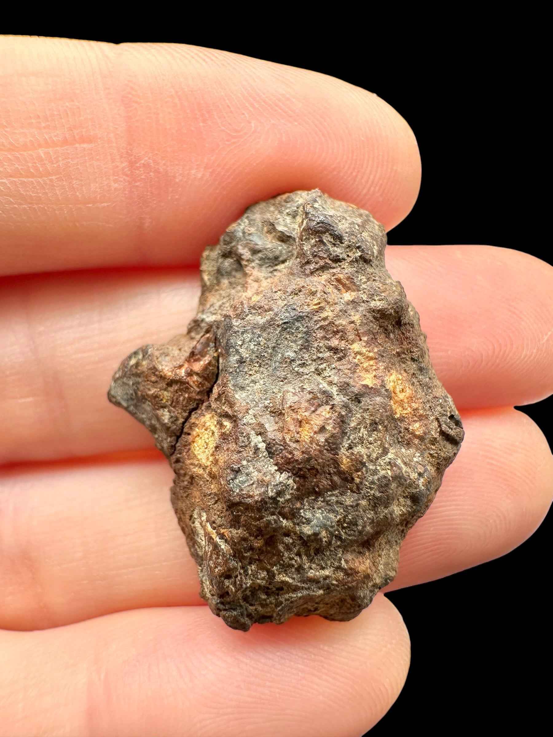 Meteorite pallasite di Sericho, 11,3 g / sezione trasversale – Kenya - MESR215