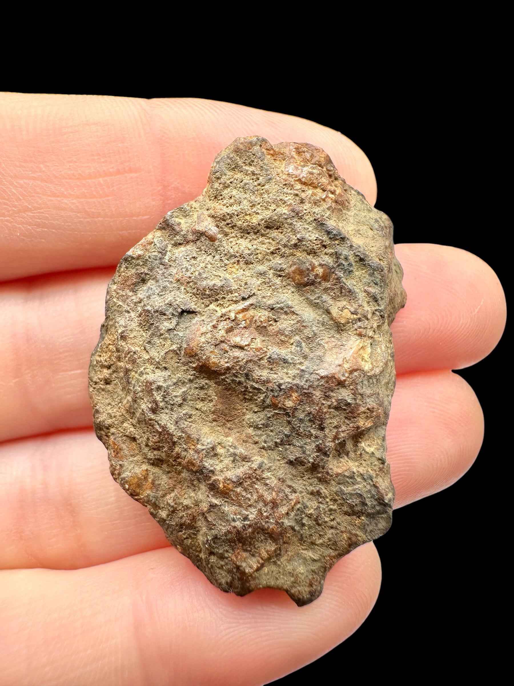 Meteorite pallasite di Sericho, 22,6 g / sezione trasversale – Kenya - MESR216