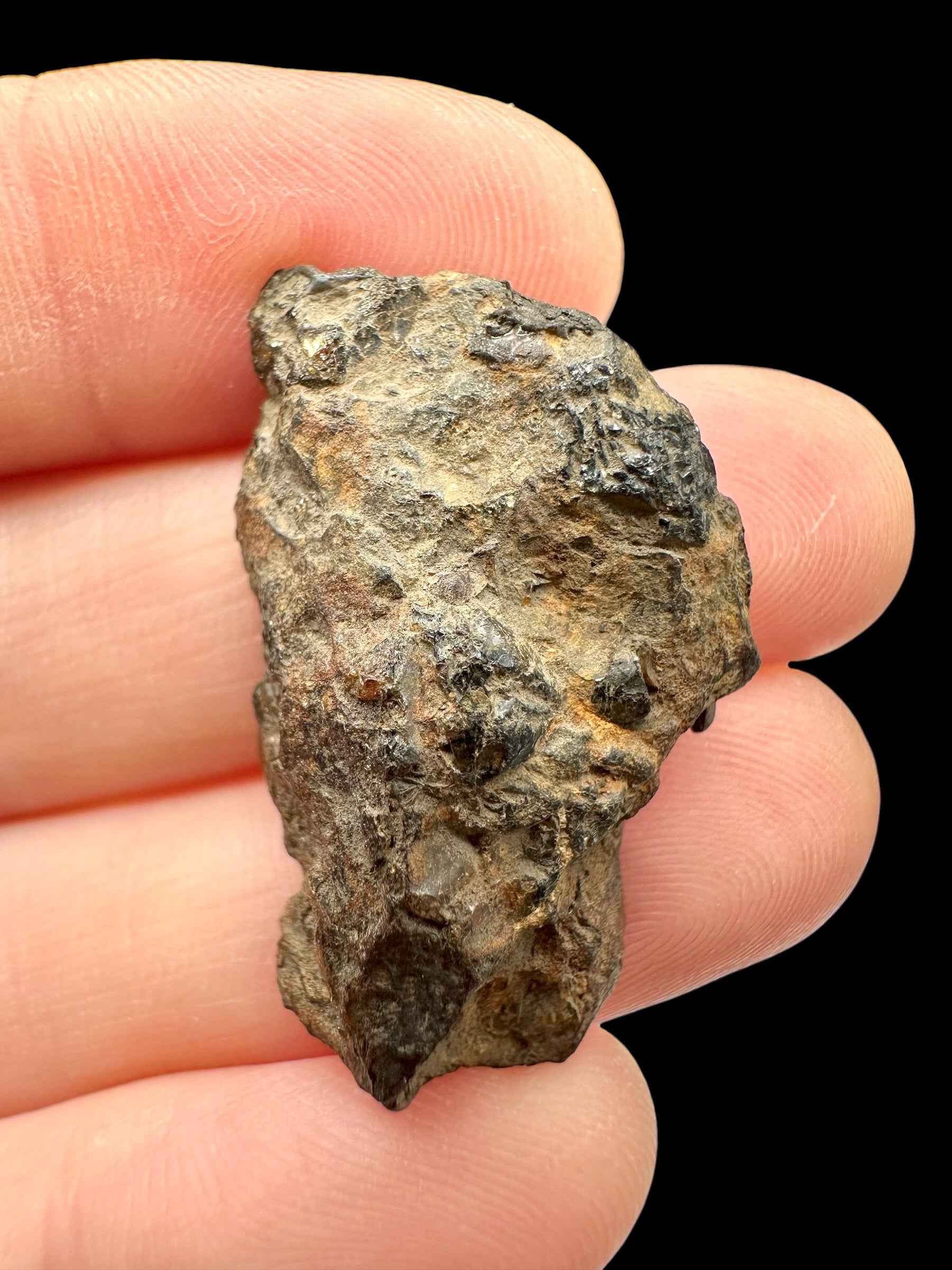 Meteorite pallasite di Sericho, 9,6 g / sezione trasversale – Kenya - MESR217