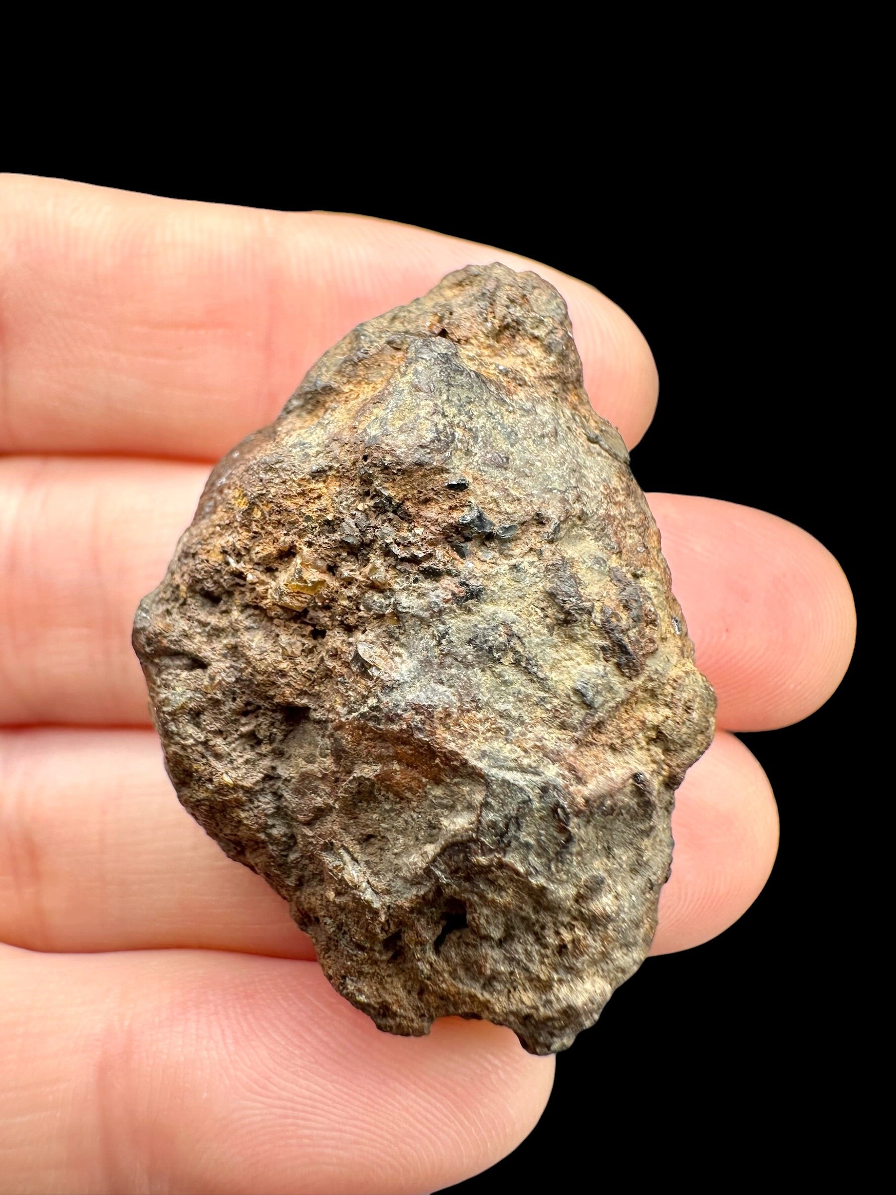 Sericho Pallasite Meteorite 27,1g / endcut – Kenya - MESR219