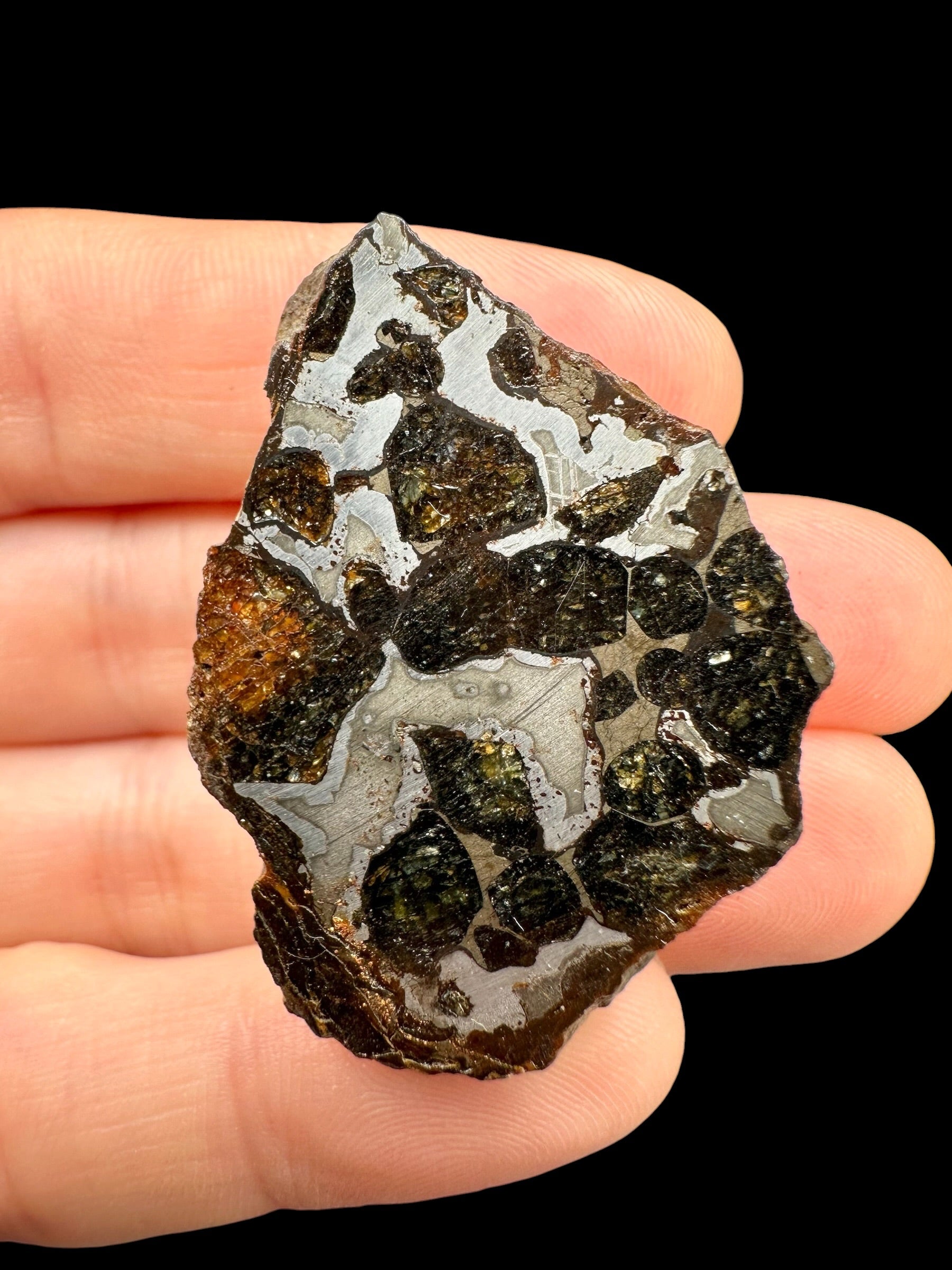 Sericho Pallasite Meteorite 27,1g / endcut – Kenya