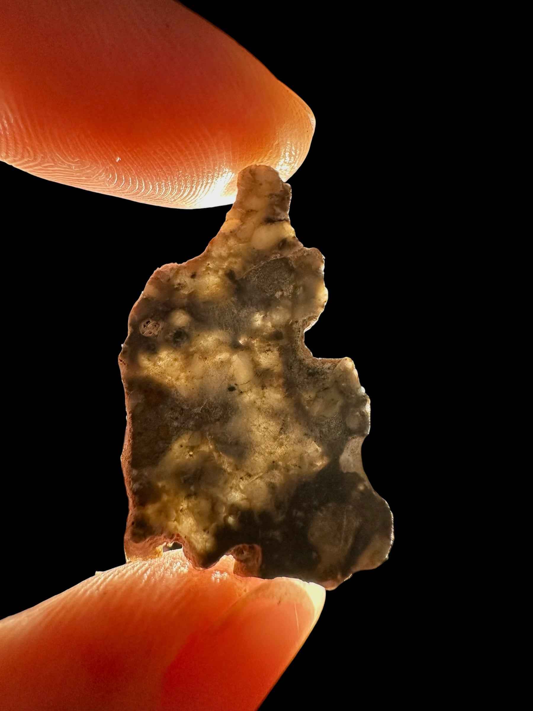 Meteorite lunare Adrar 013 – 1,3g – Algeria – translucent - MEAD31