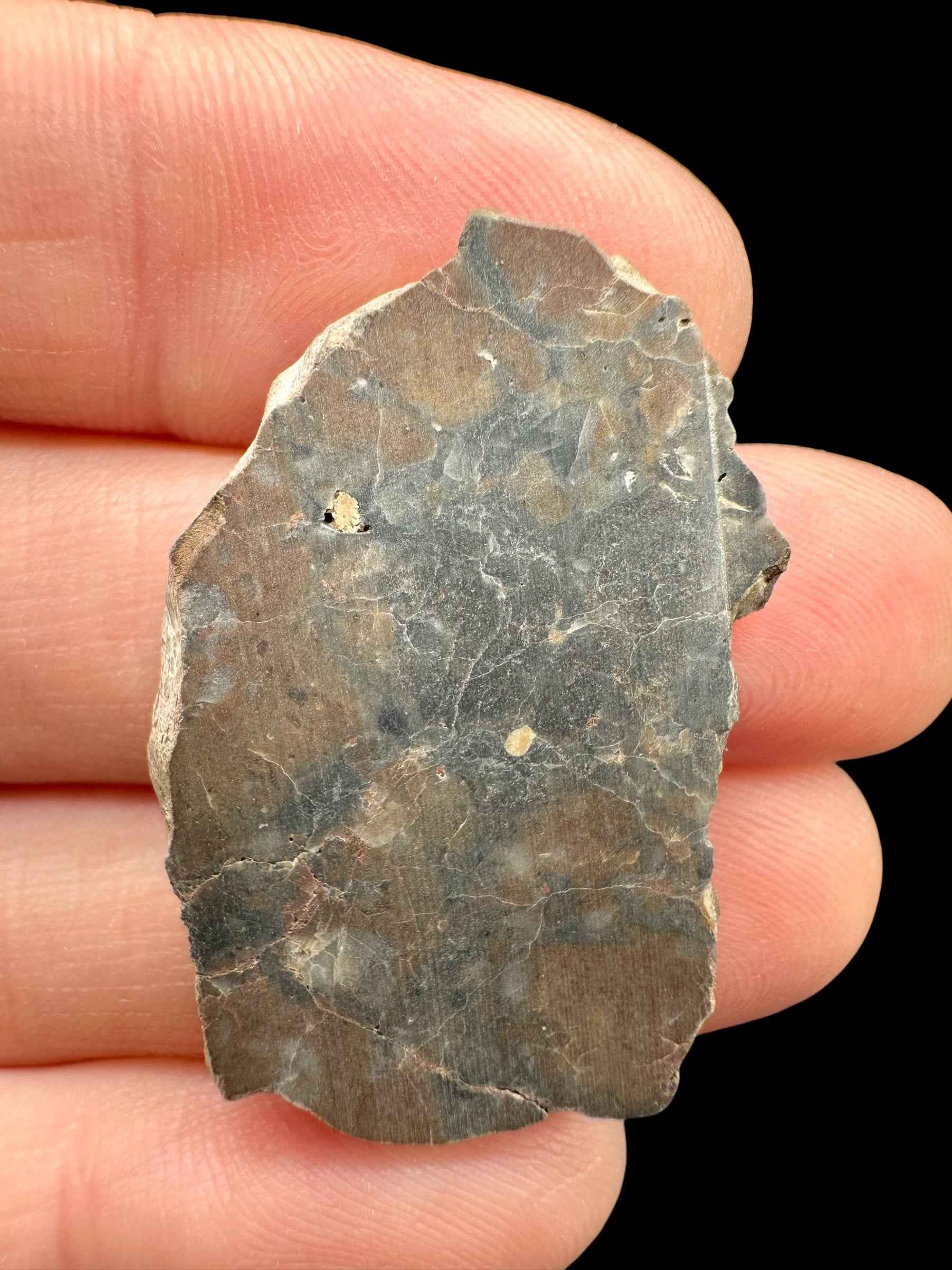 Meteorite lunare Adrar 013 – 4,1g – Algeria - MEAD32
