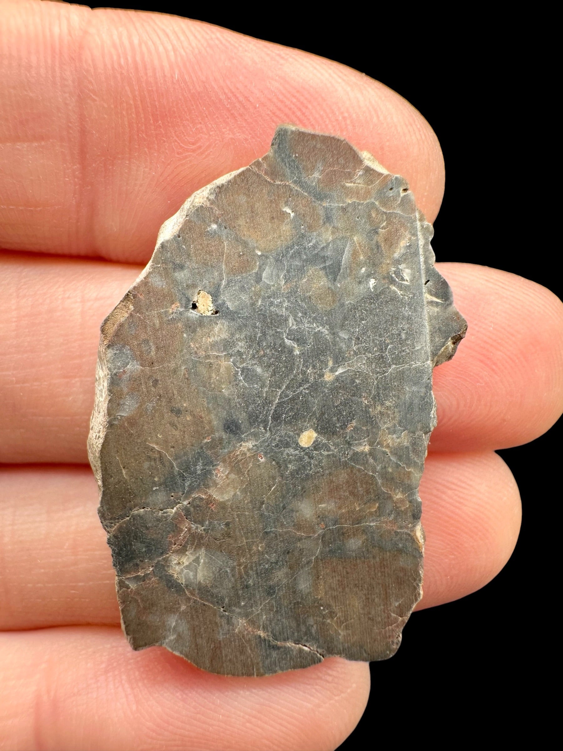 Lunar meteorite Adrar 013 – 4,1g – Algeria - MEAD32