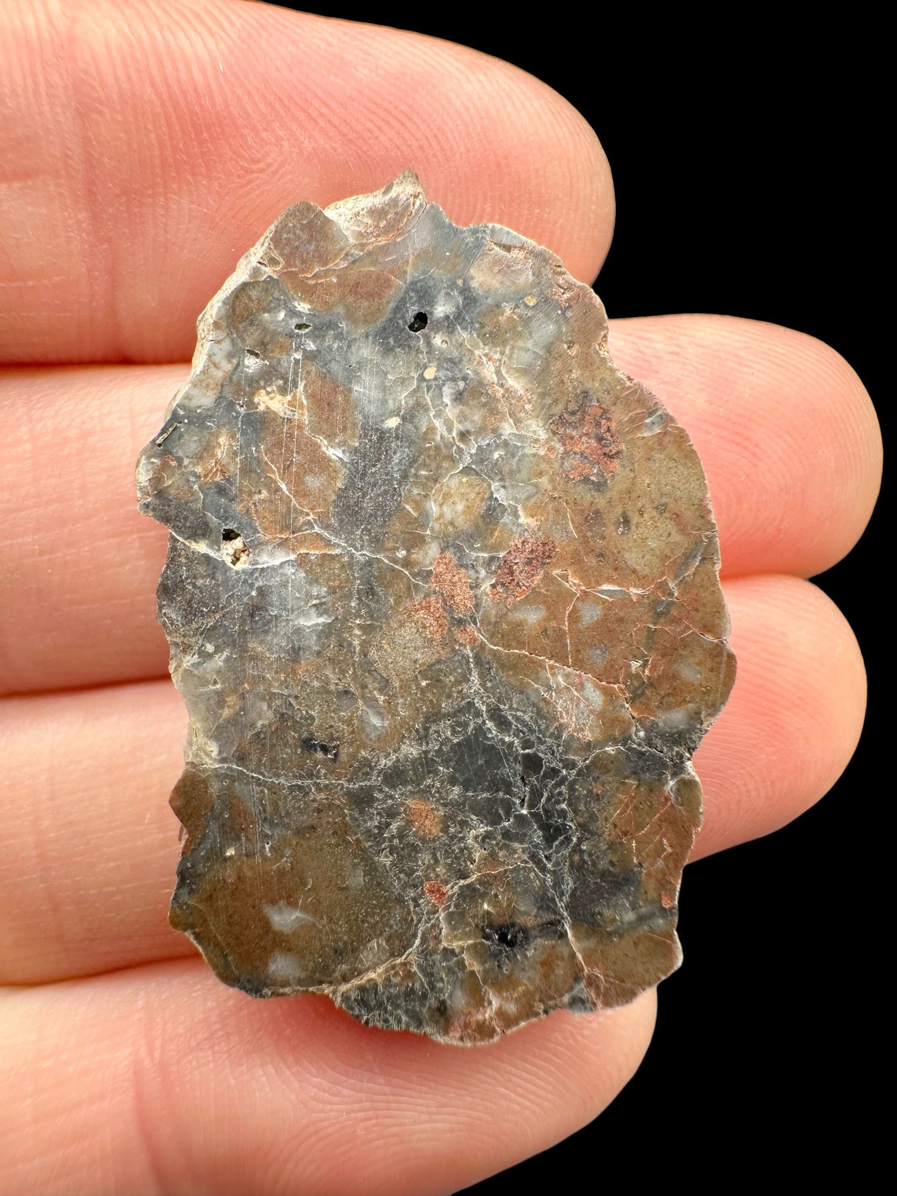 Lunar meteorite Adrar 013 – 4,1g – Algeria