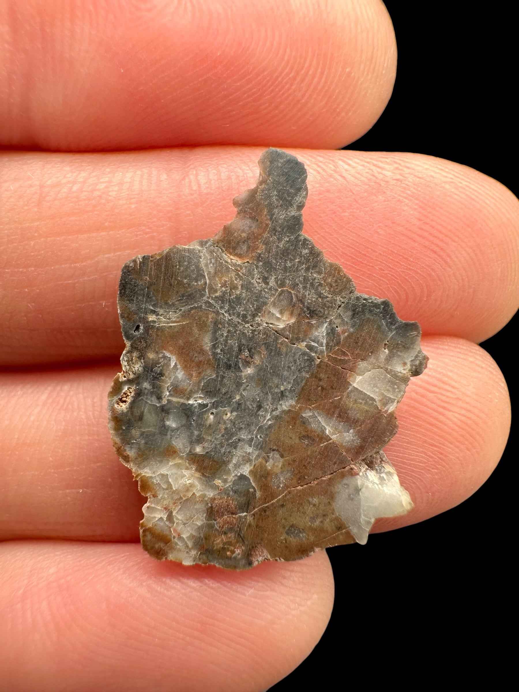 Meteorite lunare Adrar 013 – 1g – Algeria - MEAD33