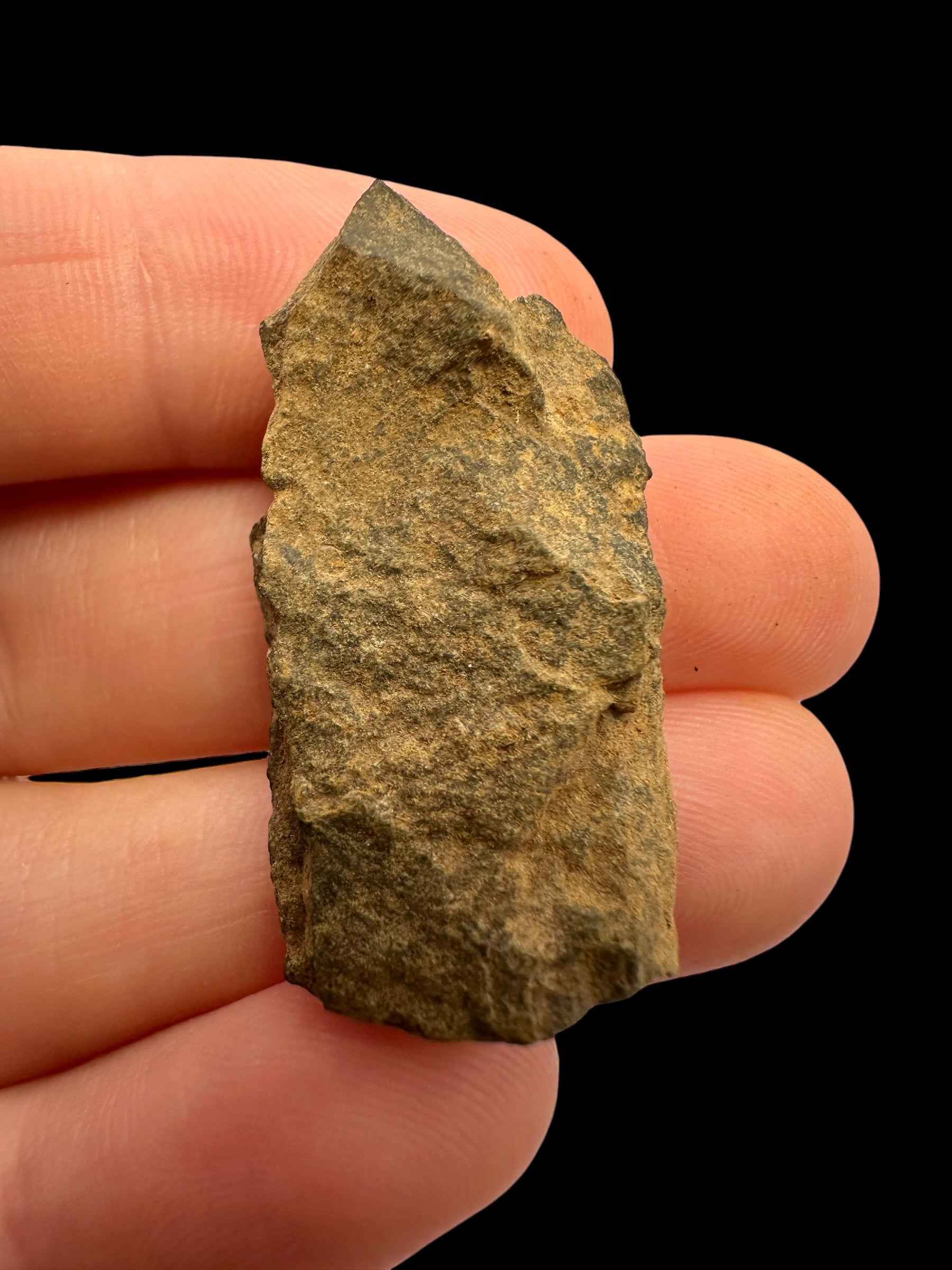 Meteorite Tsarev 9g – Volgograd, Russia - METS37