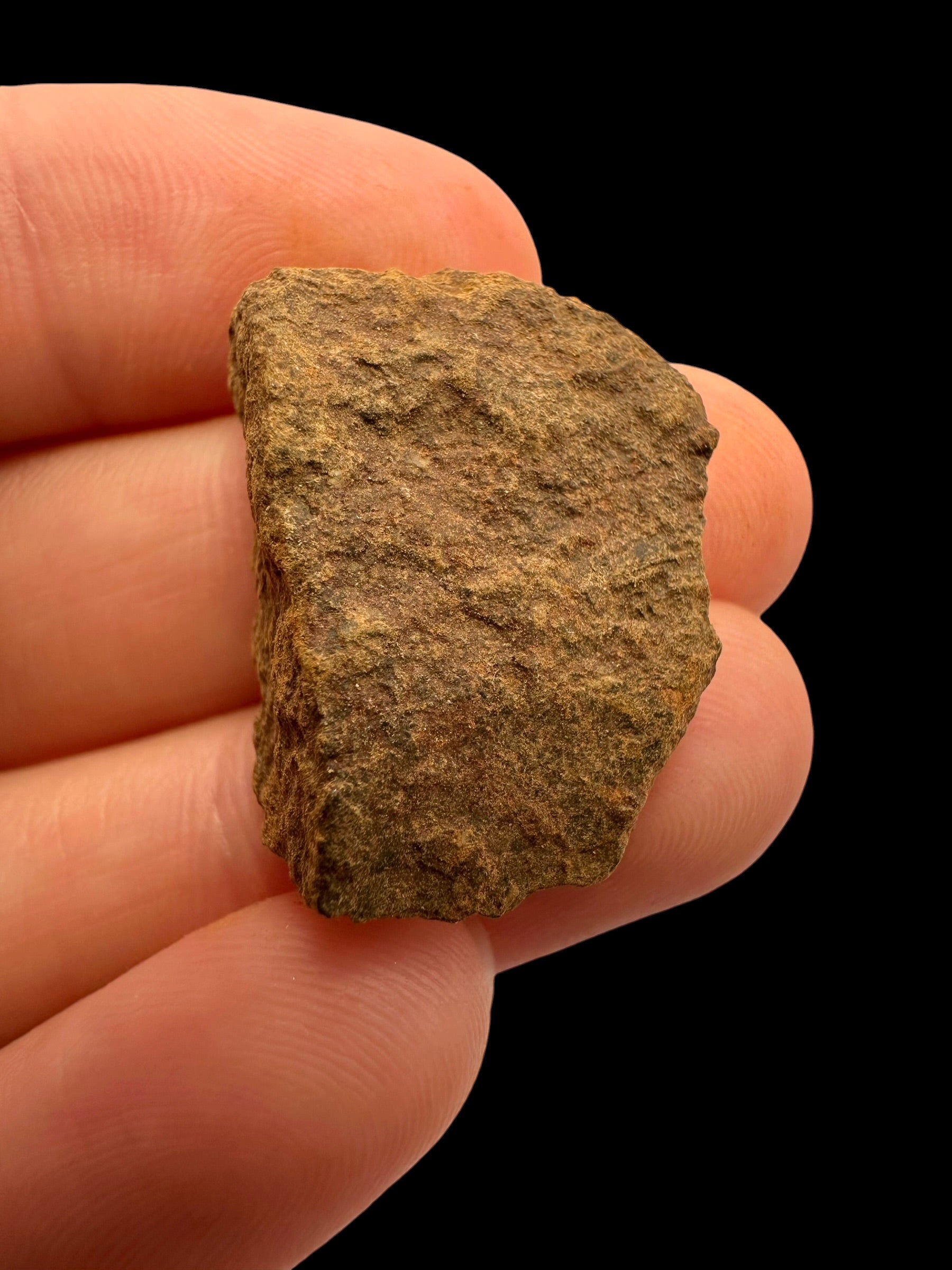 Meteorite Tsarev 7,5g – Volgograd, Russia