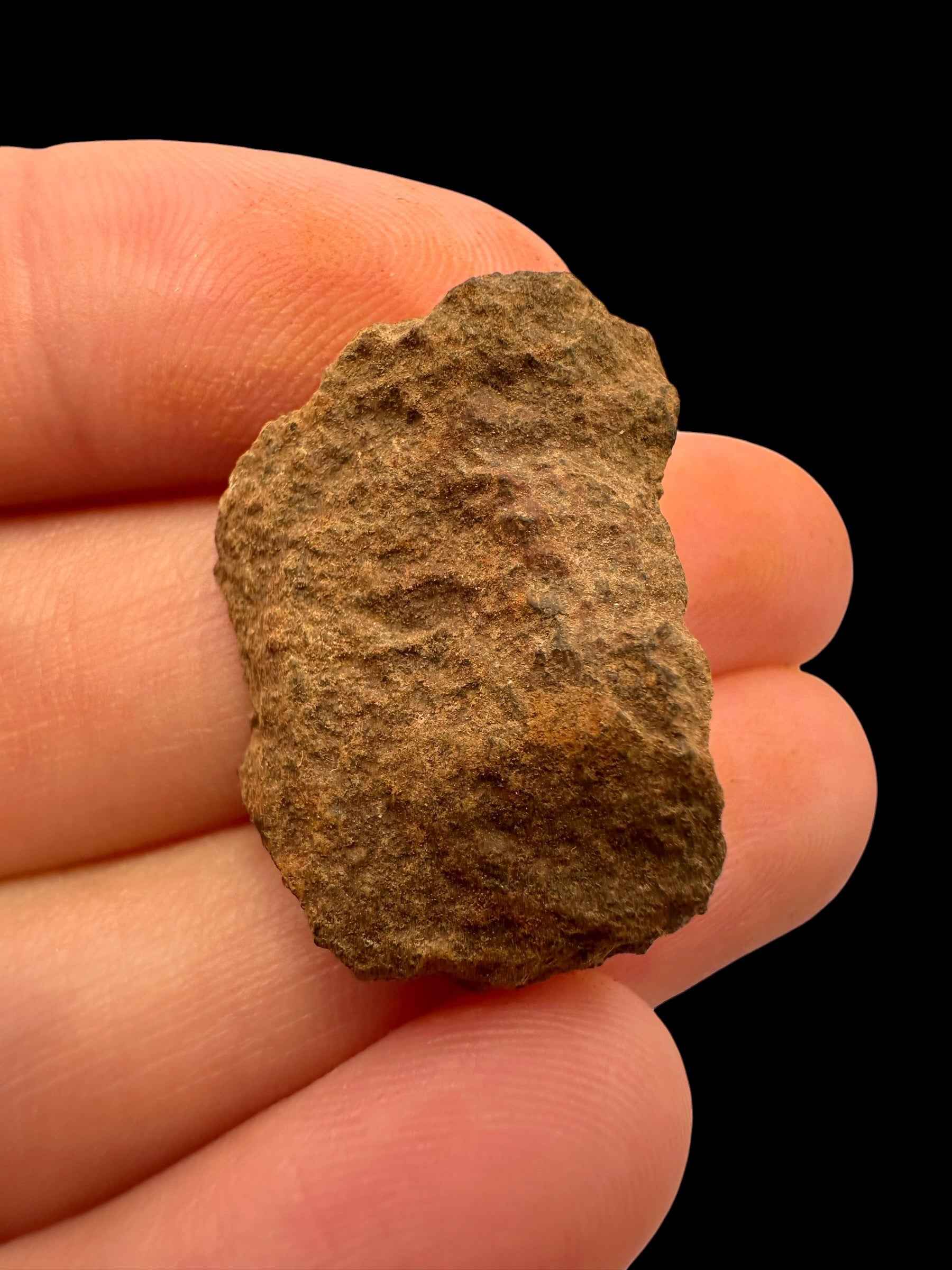 Meteorite Tsarev 7,5g – Volgograd, Russia - METS38