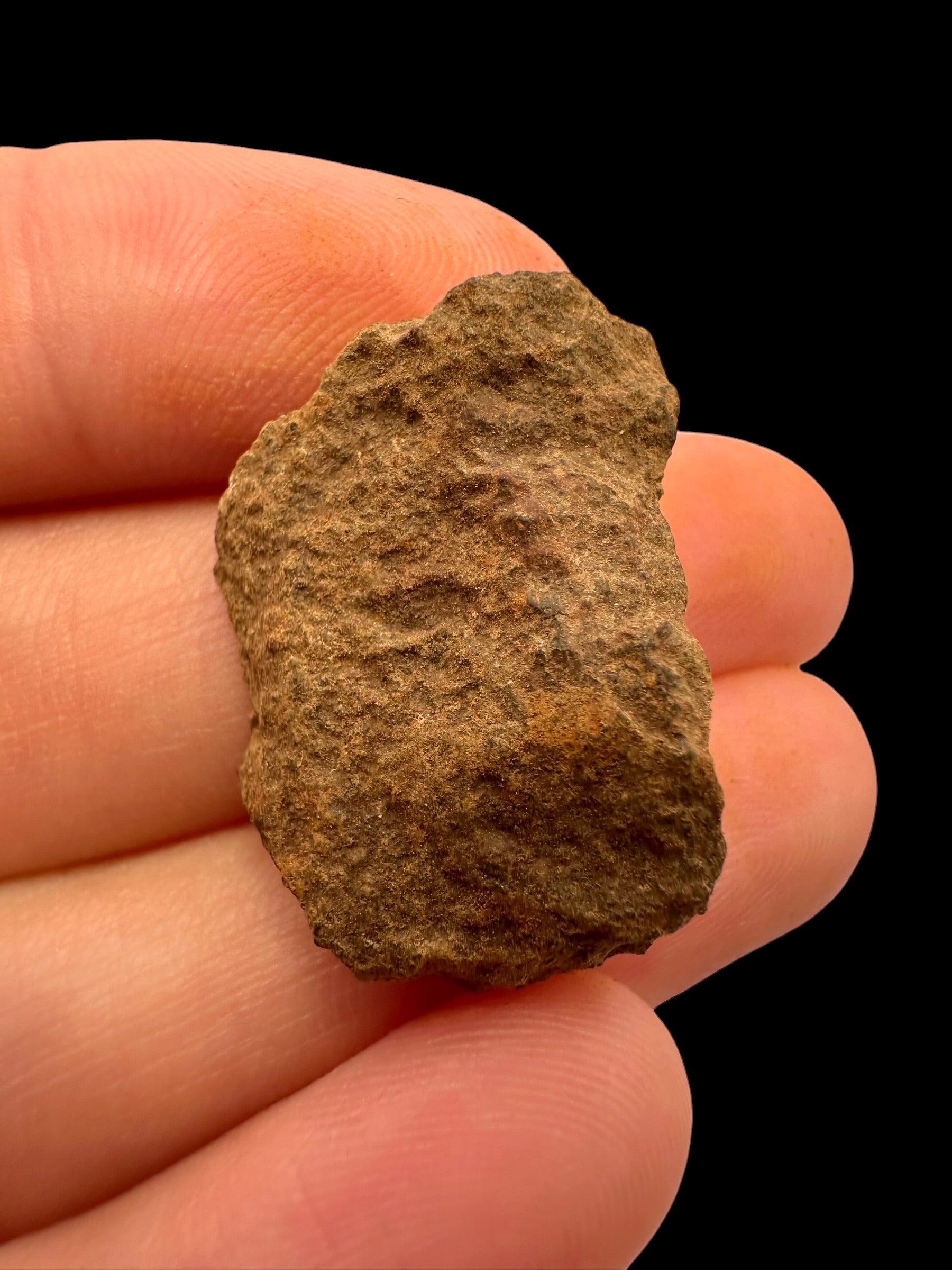 Meteorite Tsarev 7,5g – Volgograd, Russia - METS38