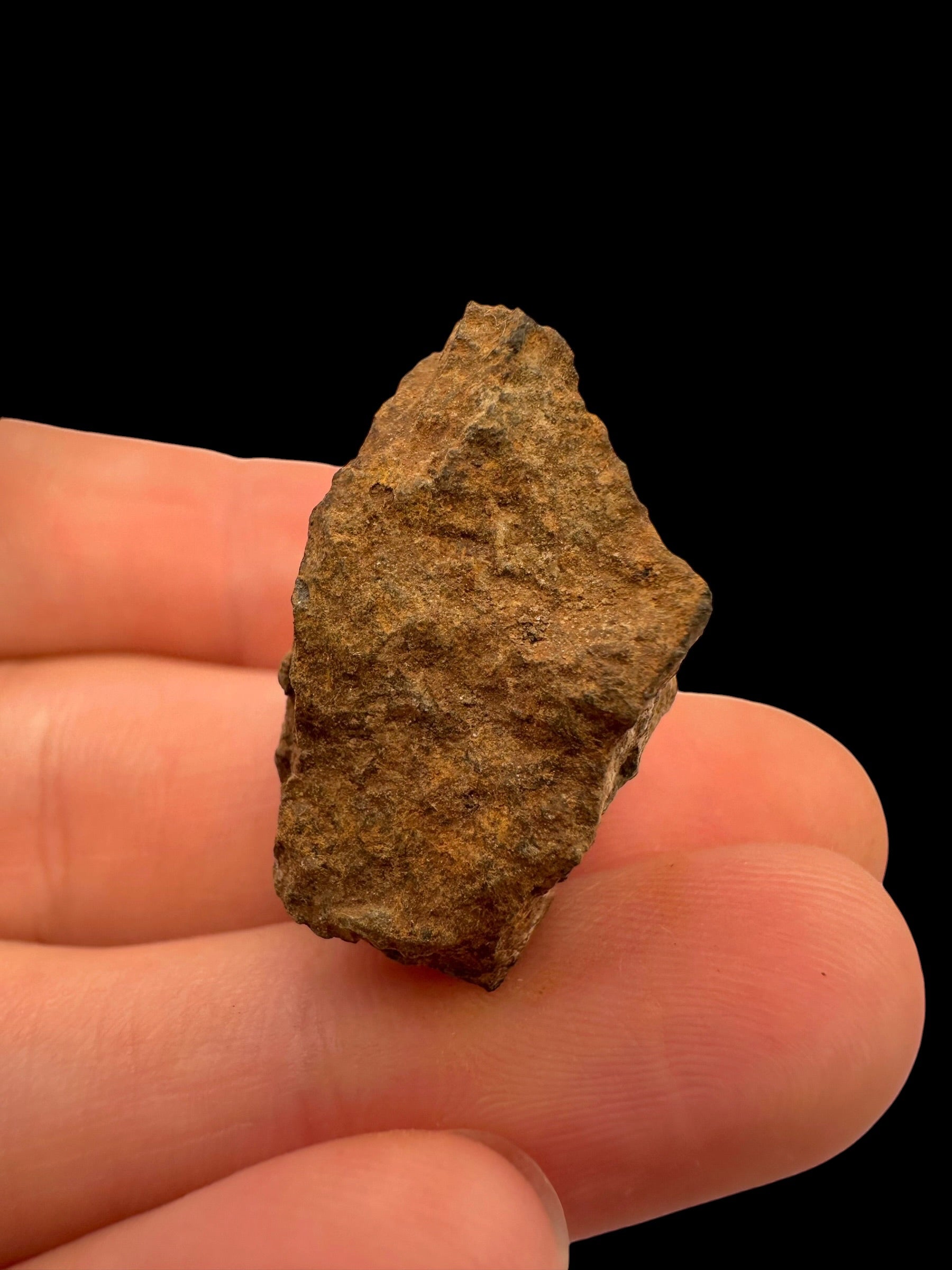 Meteorite Tsarev 12,9g – Volgograd, Russia - METS39