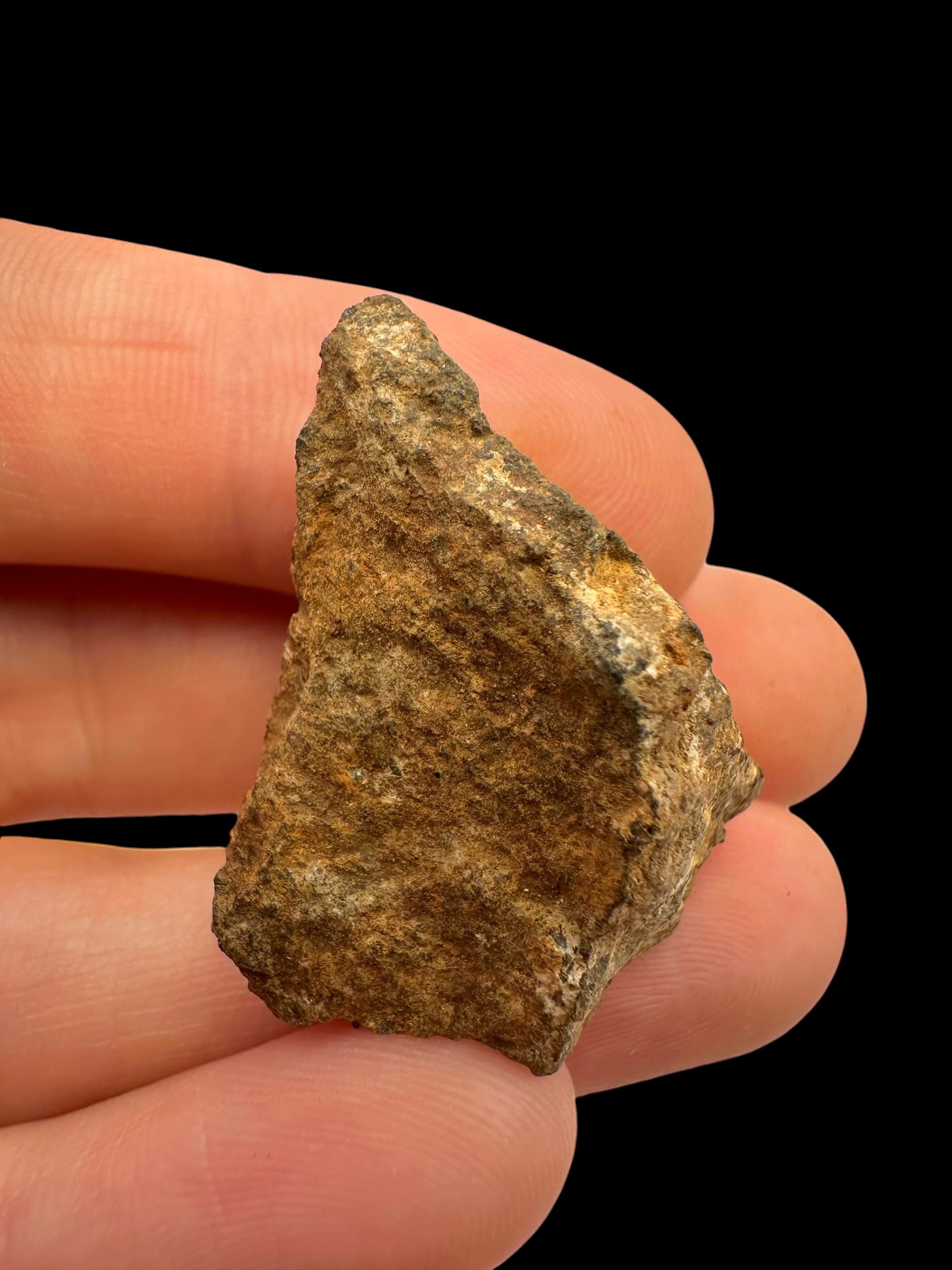 Meteorite Tsarev 12,9g – Volgograd, Russia - METS39