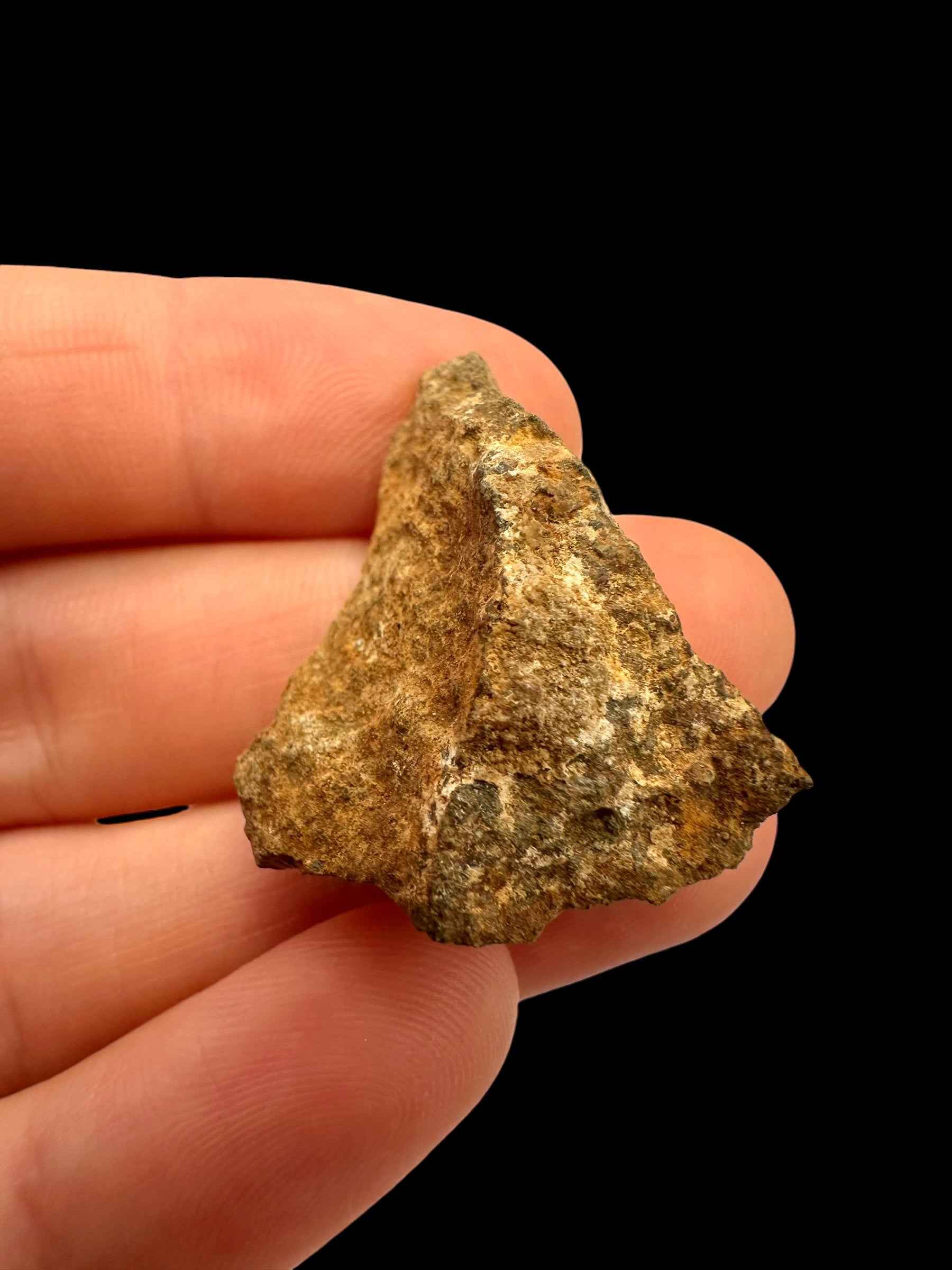 Meteorite Tsarev 12,9g – Volgograd, Russia - METS39
