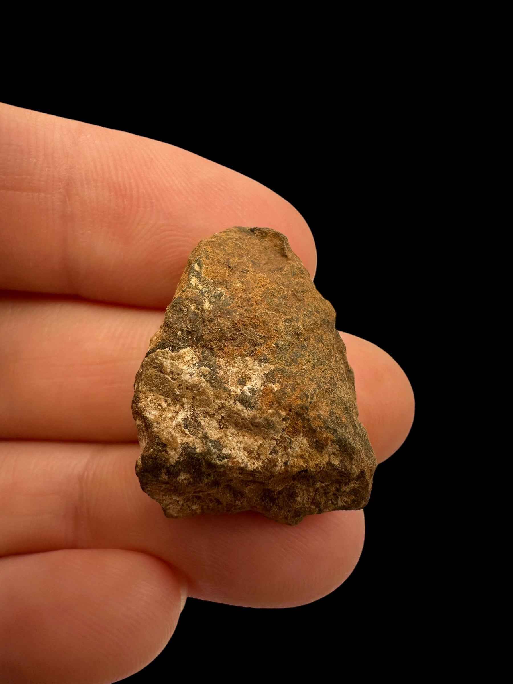 Meteorite Tsarev 8,6g – Volgograd, Russia - METS40