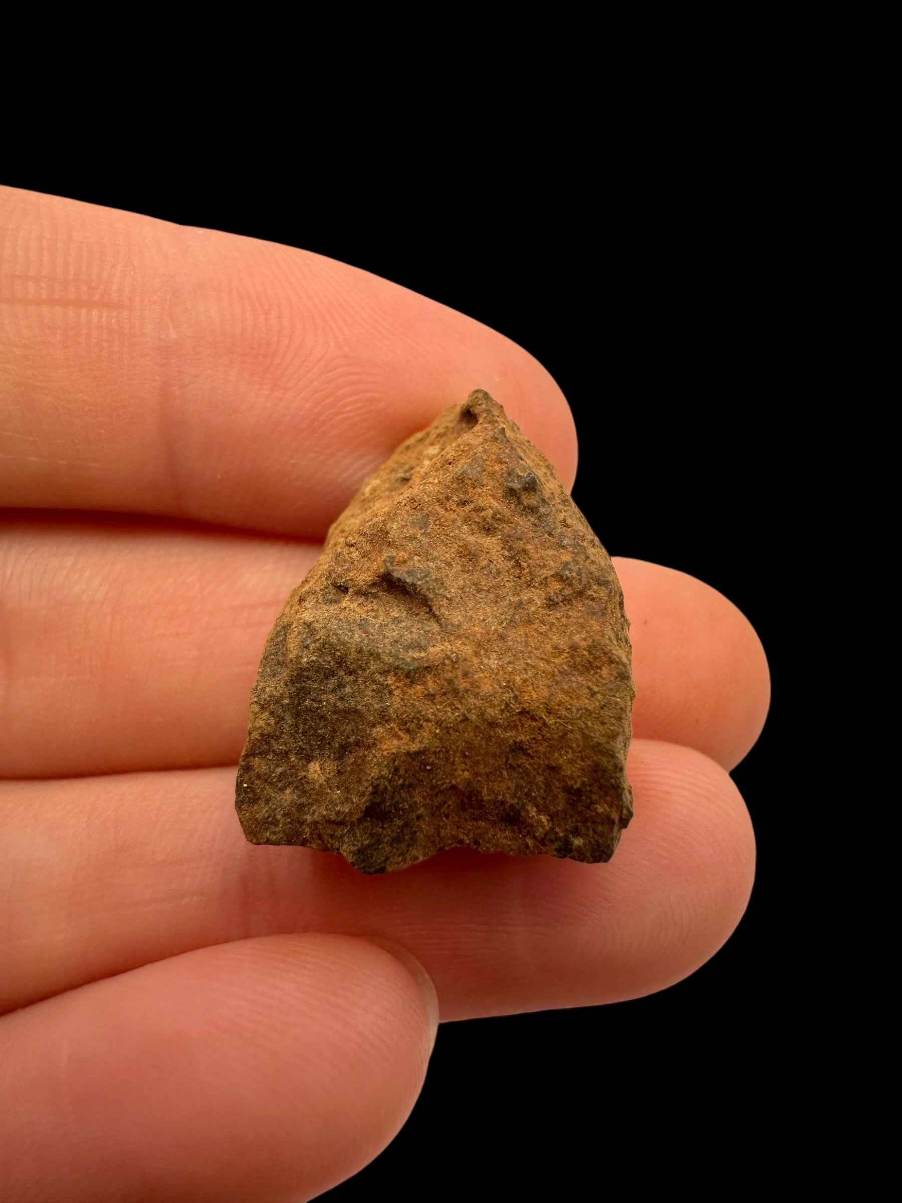 Meteorite Tsarev 8,6g – Volgograd, Russia - METS40