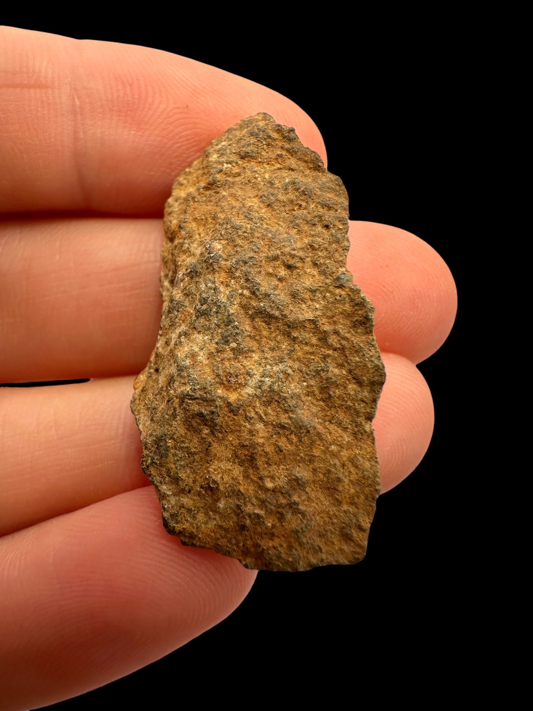 Meteorite Tsarev 7,7g – Volgograd, Russia - METS42