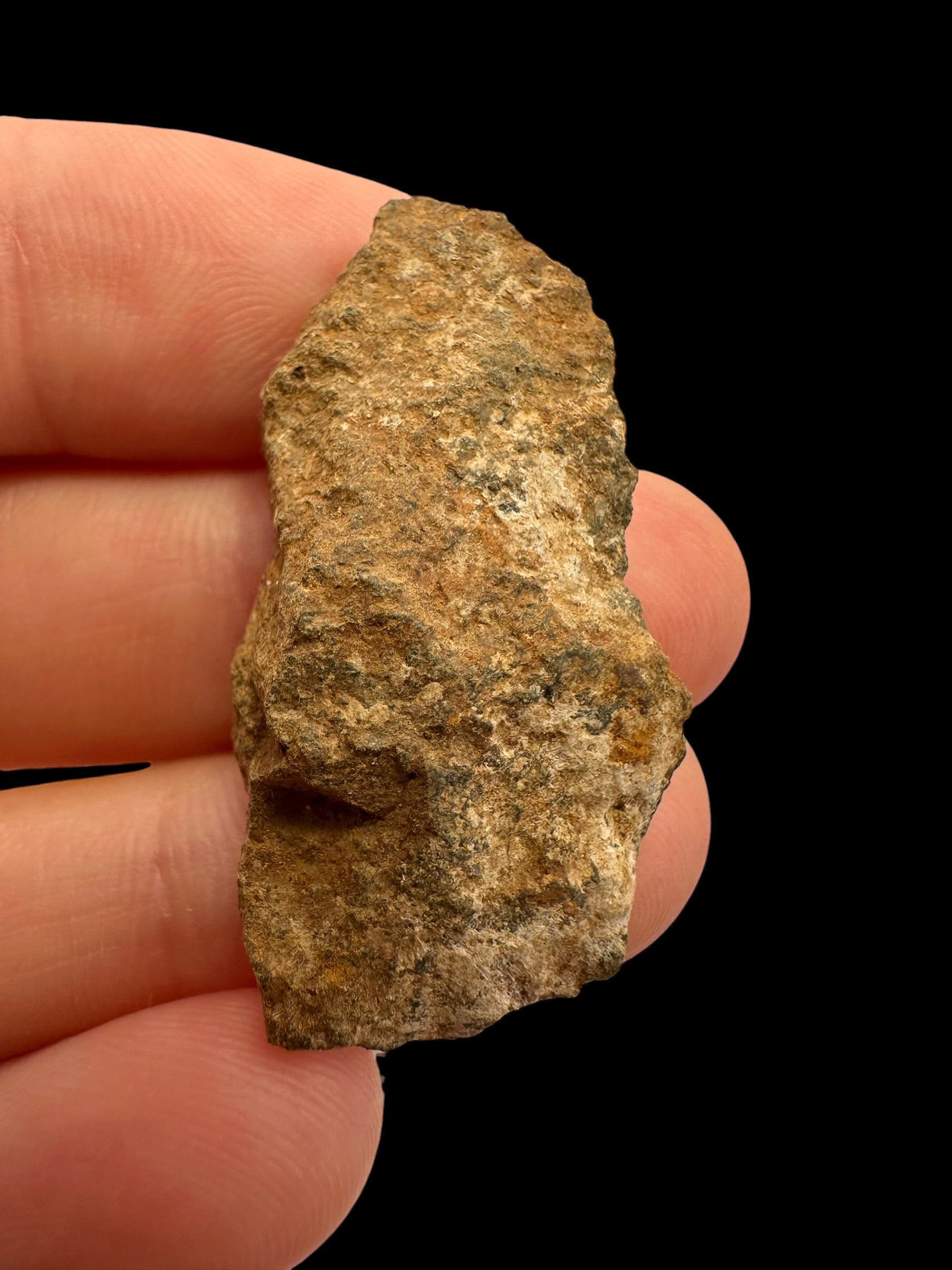 Meteorite Tsarev 7,7g – Volgograd, Russia