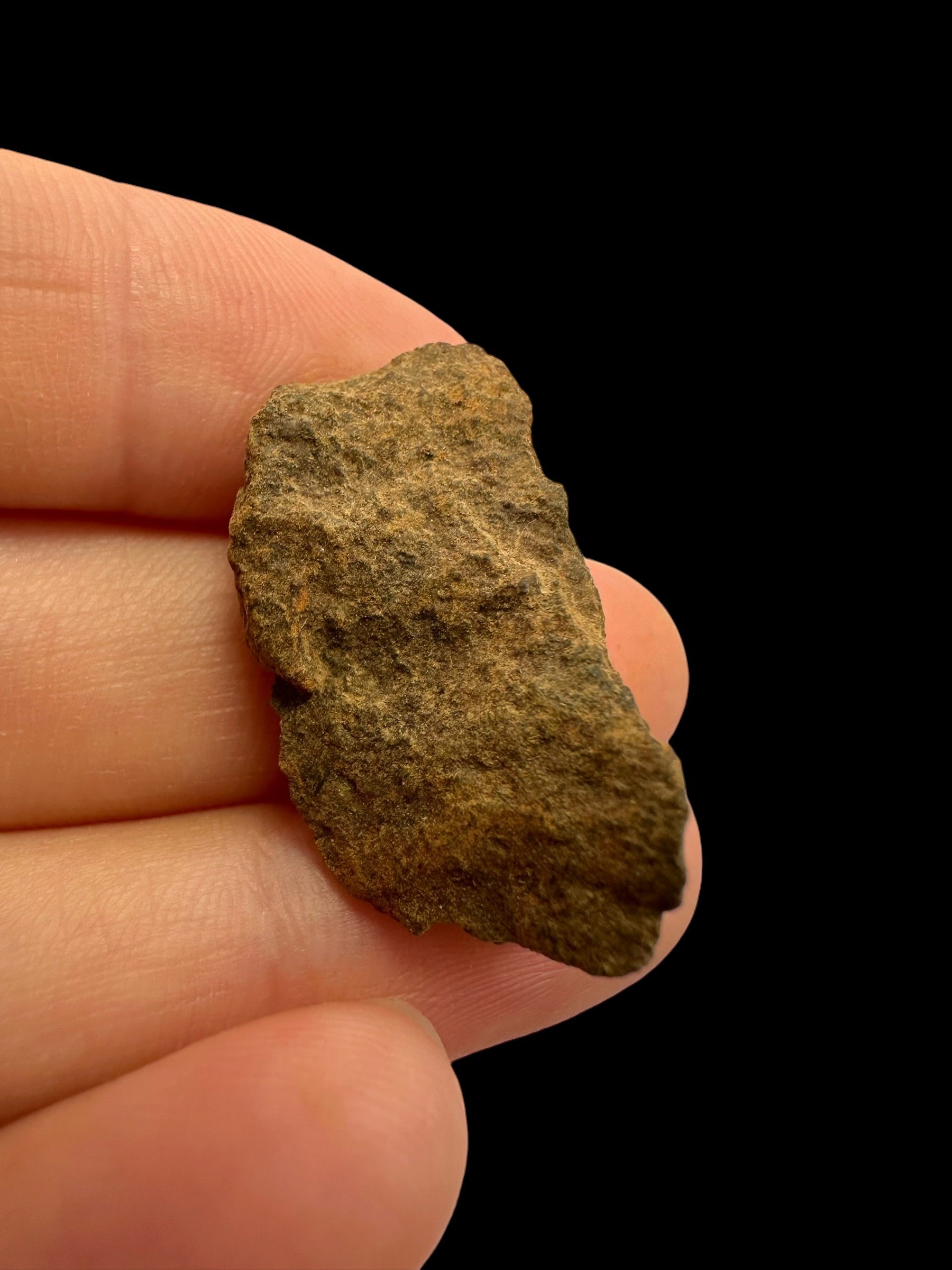 Meteorite Tsarev – Volgograd, Russia - METS43