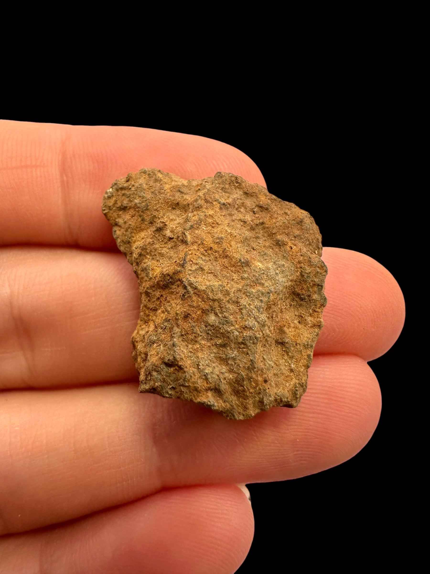 Meteorite Tsarev 8g – Volgograd, Russia - METS44