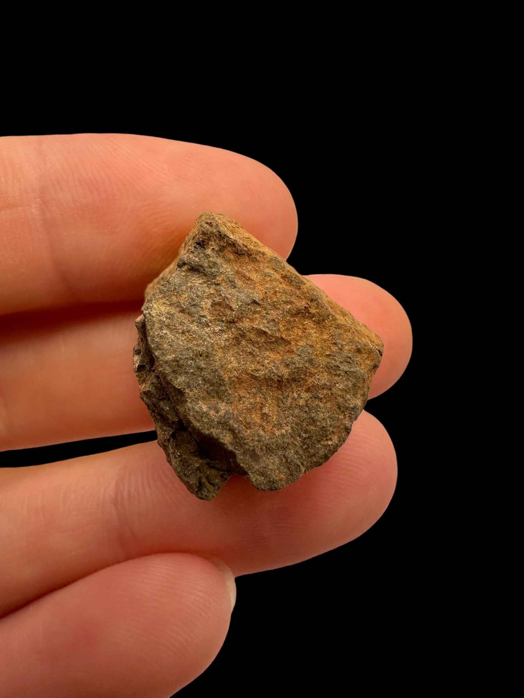 Meteorite Tsarev 11,5g – Volgograd, Russia - METS45