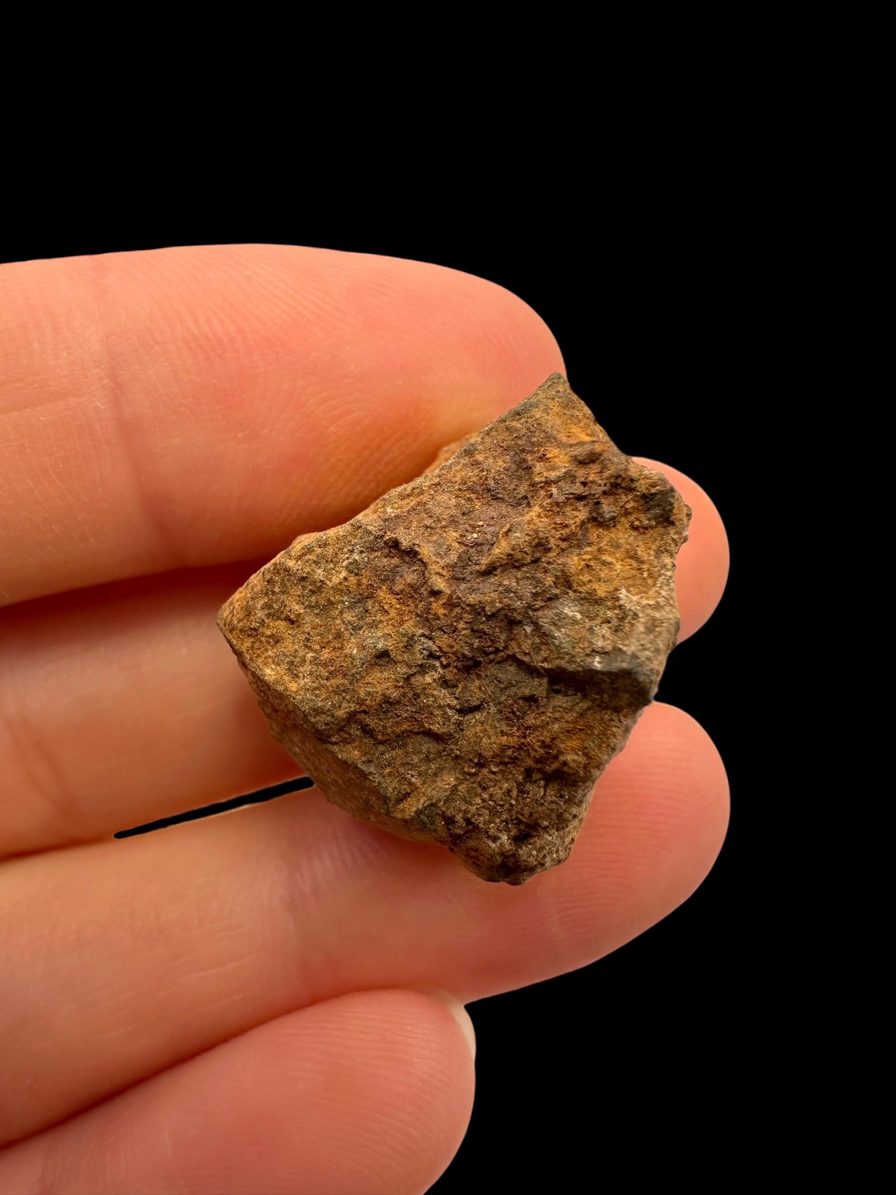 Meteorite Tsarev 11,5g – Volgograd, Russia - METS45