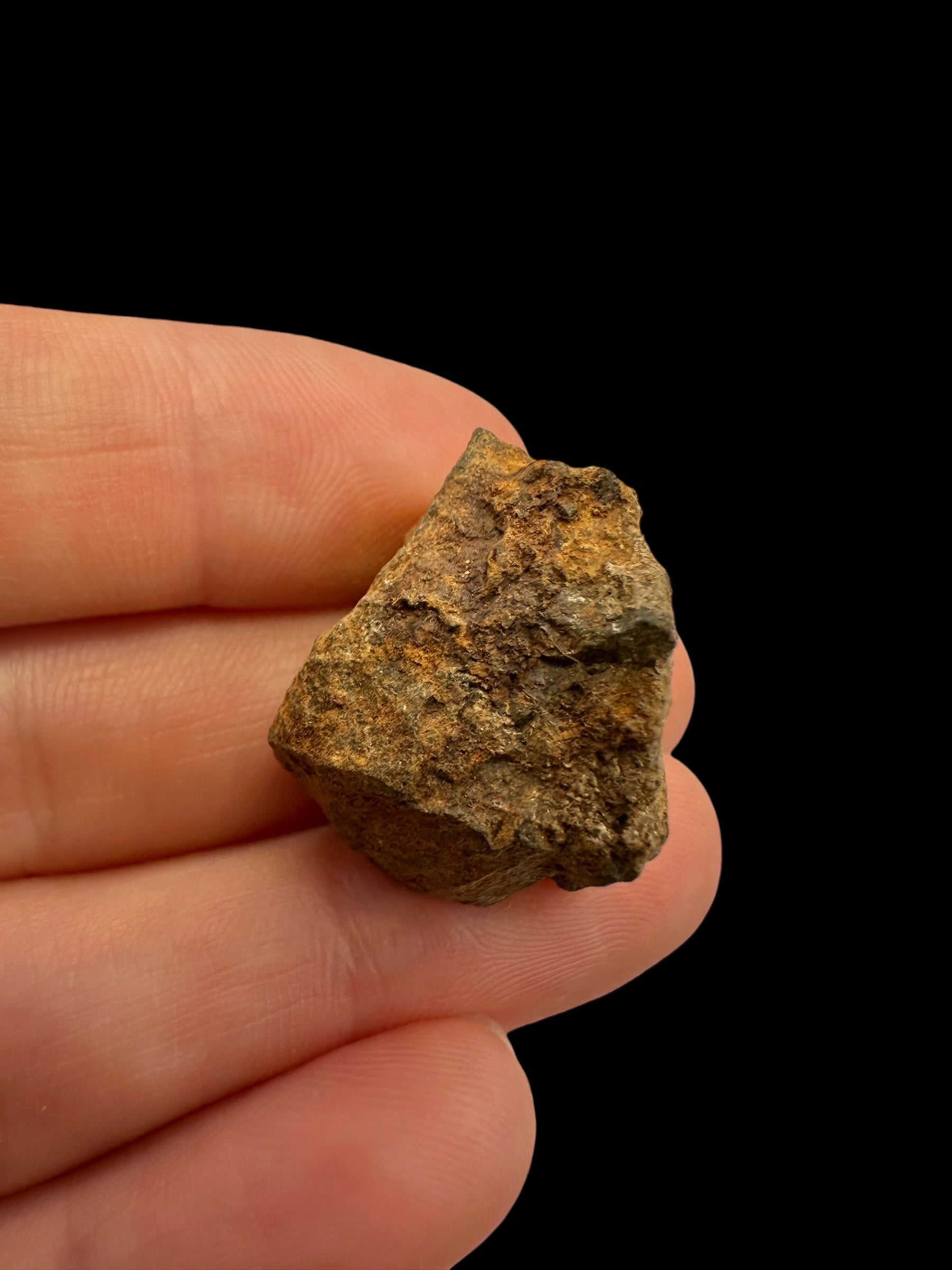 Meteorite Tsarev 11,5g – Volgograd, Russia - METS45