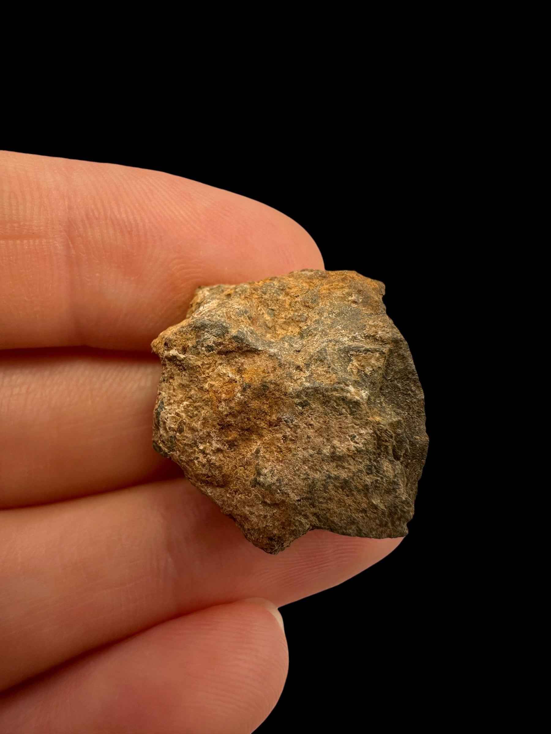 Meteorite Tsarev 11,5g – Volgograd, Russia - METS45